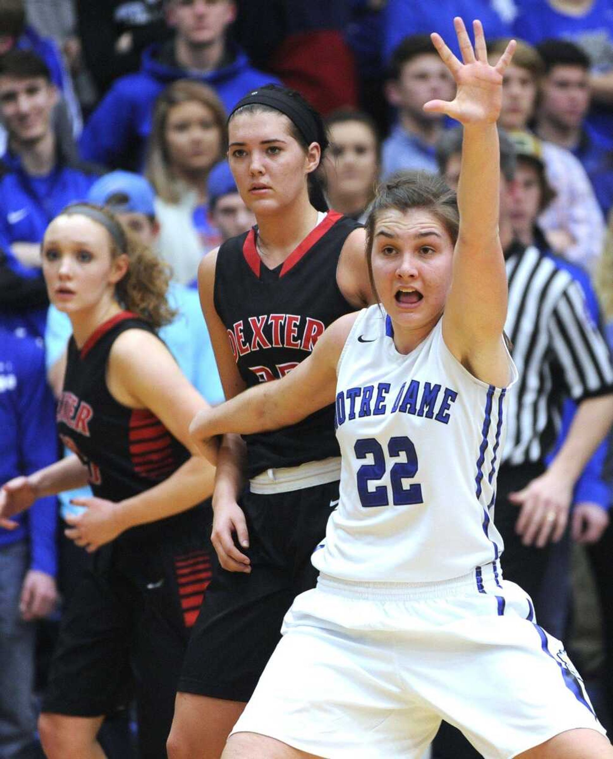 Notre Dame's Allie Ziegler defends against Dexter during the second quarter Monday, Feb. 8, 2016 at Notre Dame Regional High School.