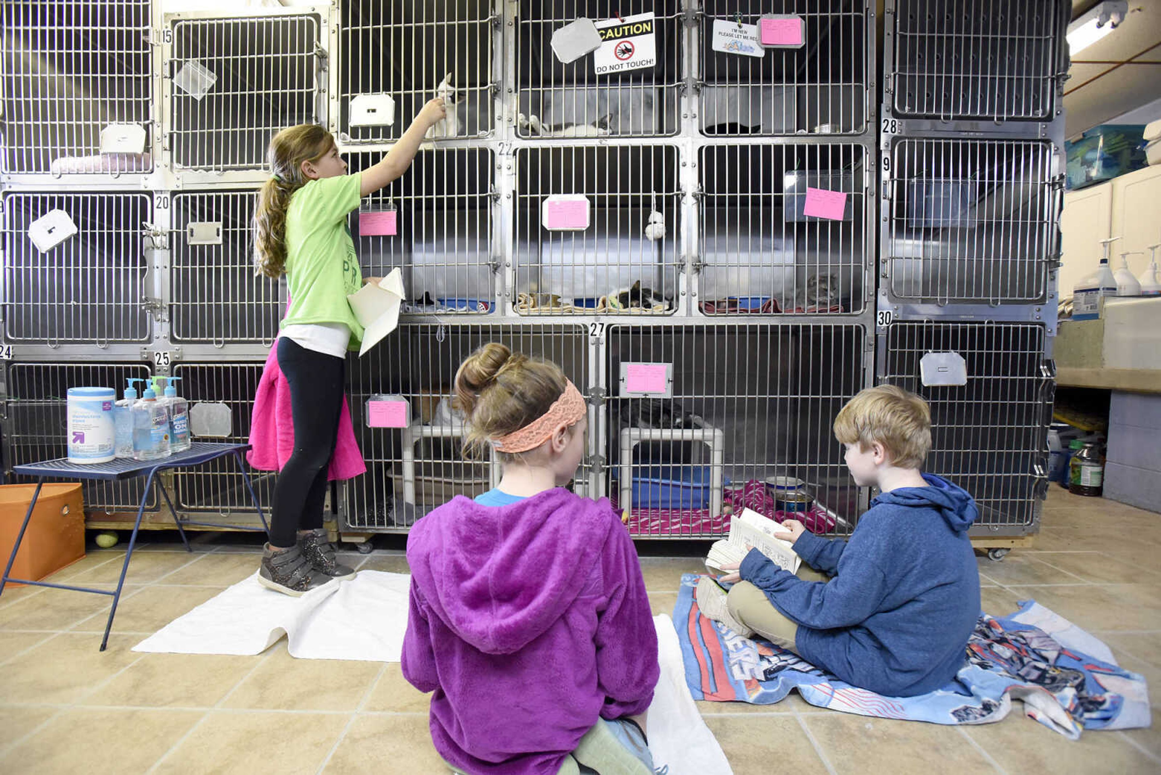 Anna Claire Jones, left, Addie Long, center, and John Henry Jones read to cats in the cat room on Thursday, March 2, 2017, at the Humane Society of Southeast Missouri. (Laura Simon)