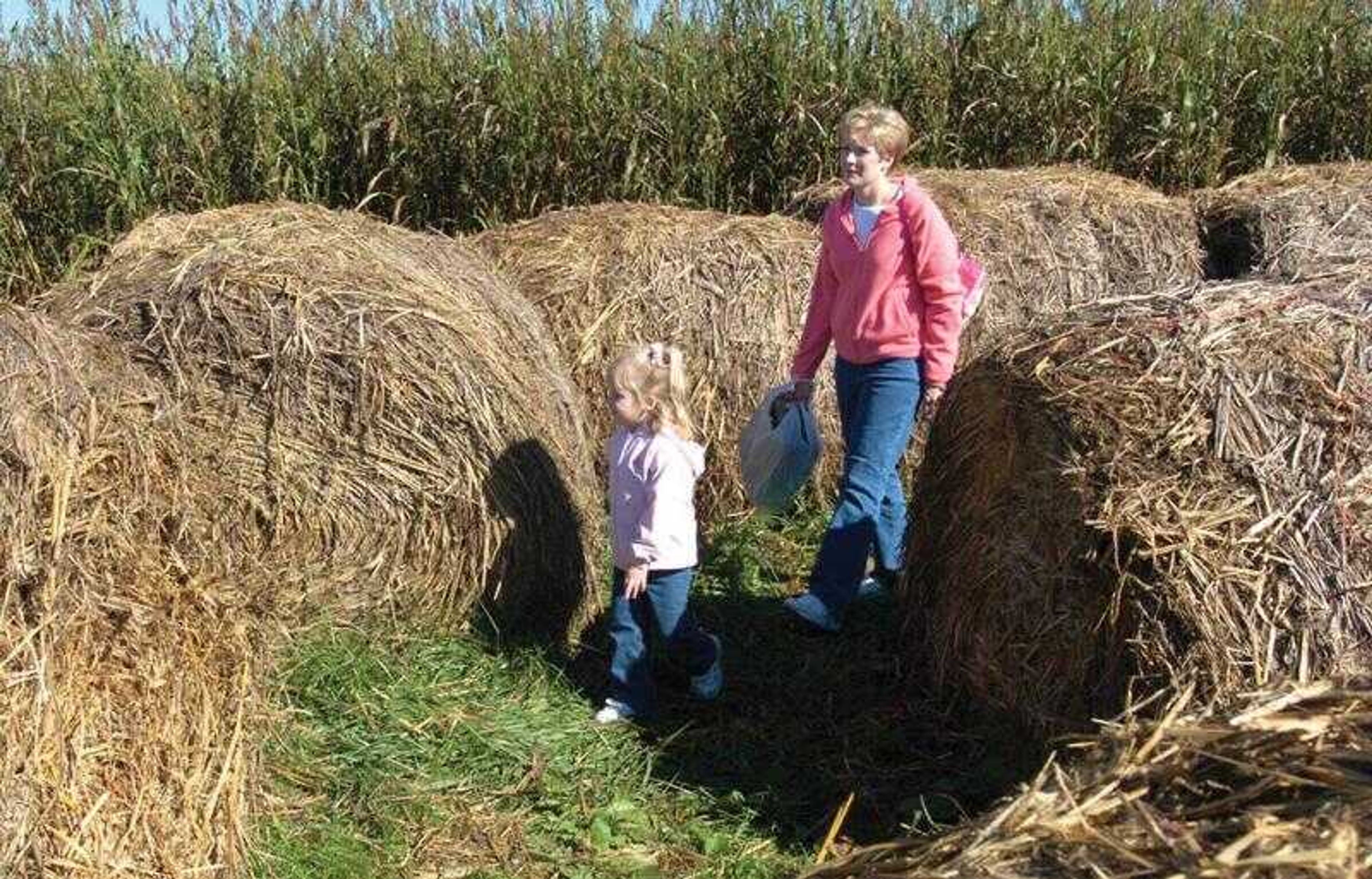 Emily Landewee, 5, and her mother, Jennifer Landewee, of Chaffee, Mo., walked through a straw maze at Pioneer Orchard in Jackson on Saturday. (Fred Lynch)