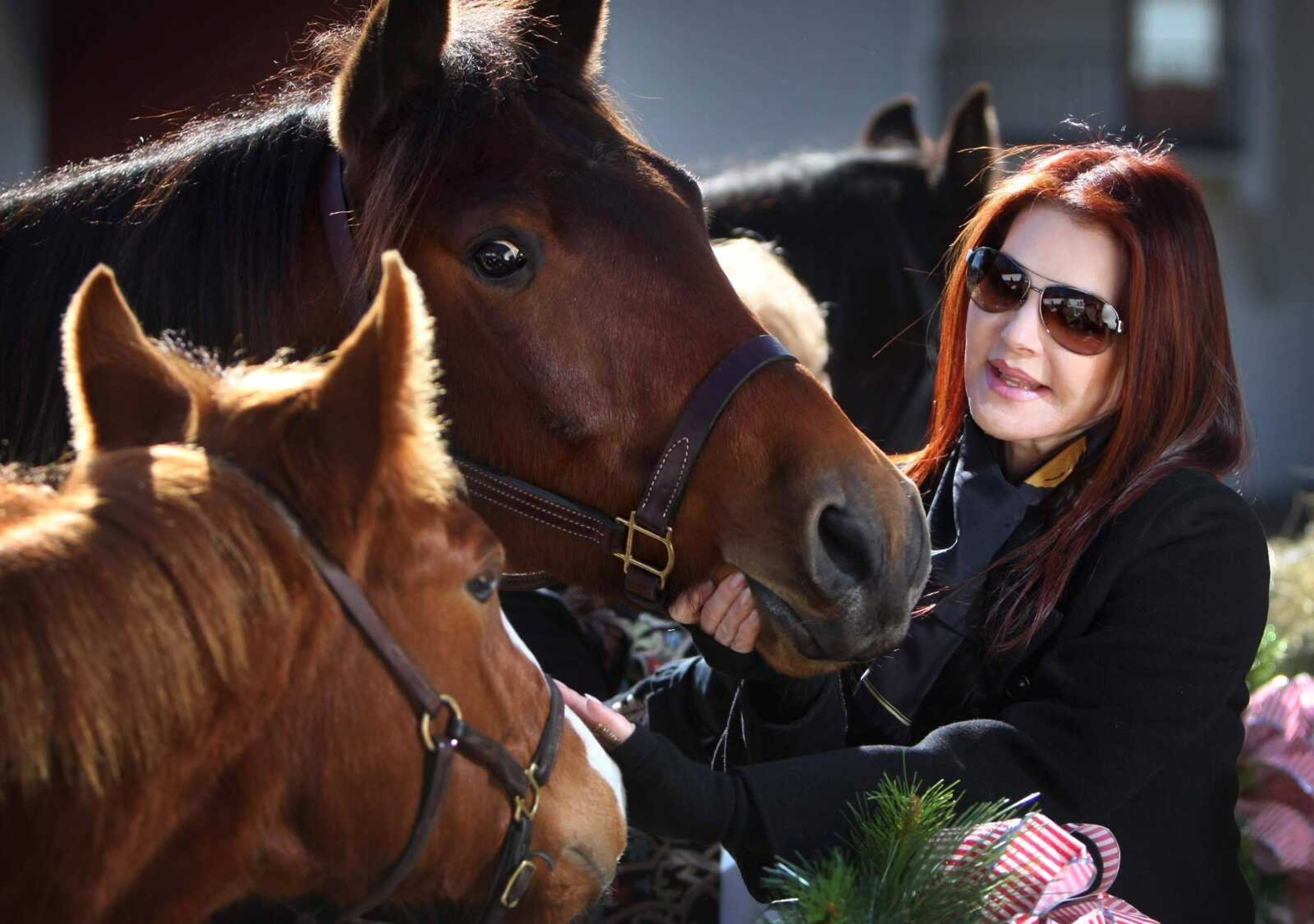 Jim Weber ~ The Commercial Appeal<br>Priscilla Presley introduces Max and Bandit, left, a pair of rescue horses Graceland recently adopted, Thursday in Memphis, Tenn.