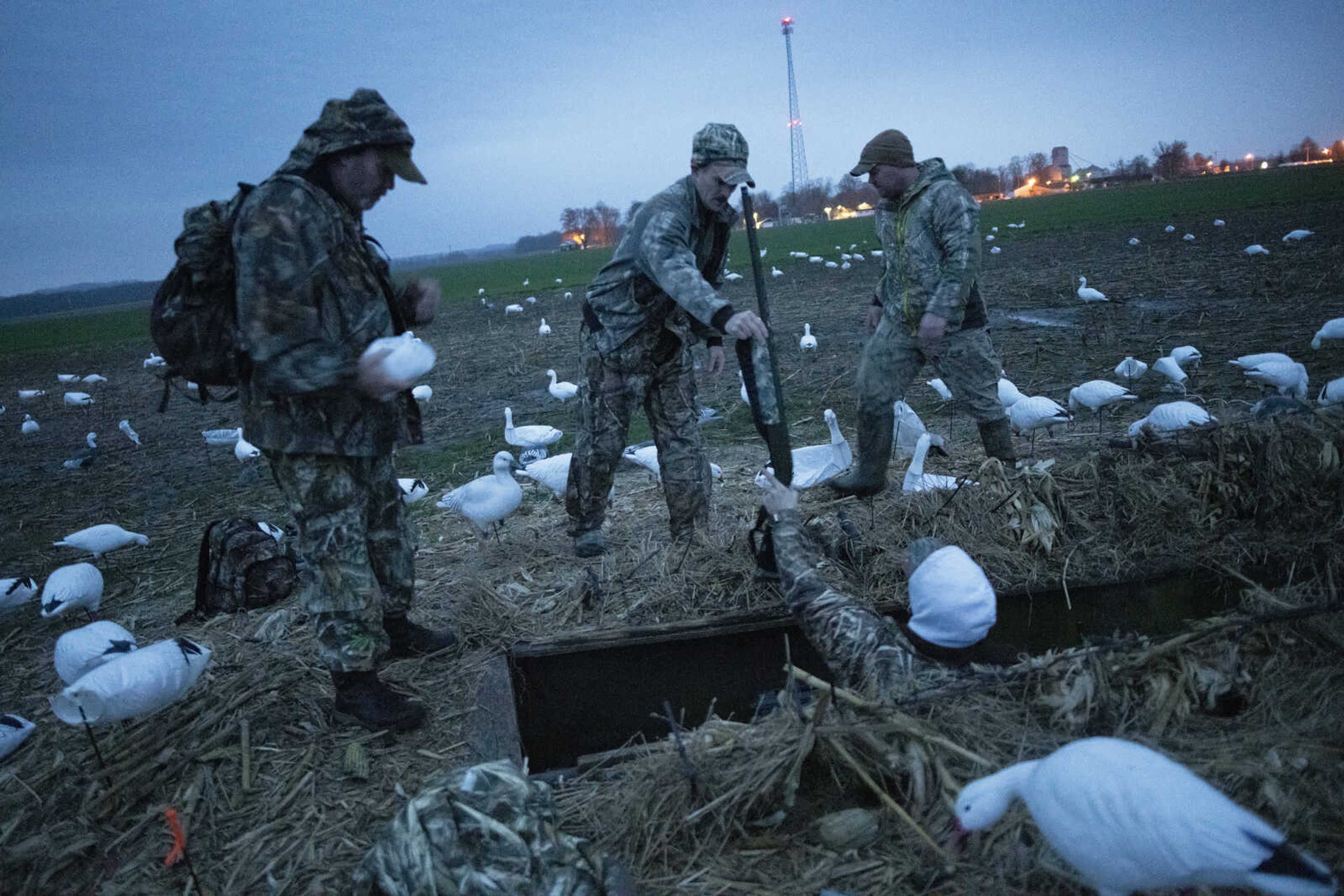 Active duty Air Force member Andrew Shanahorn hands a gun to Garrett Metje near active duty Air Force member David Fritz, right, and Army veteran Paul Jubinville, left, during a snow geese hunt Saturday, March 14, 2020, in Ware, Illinois.