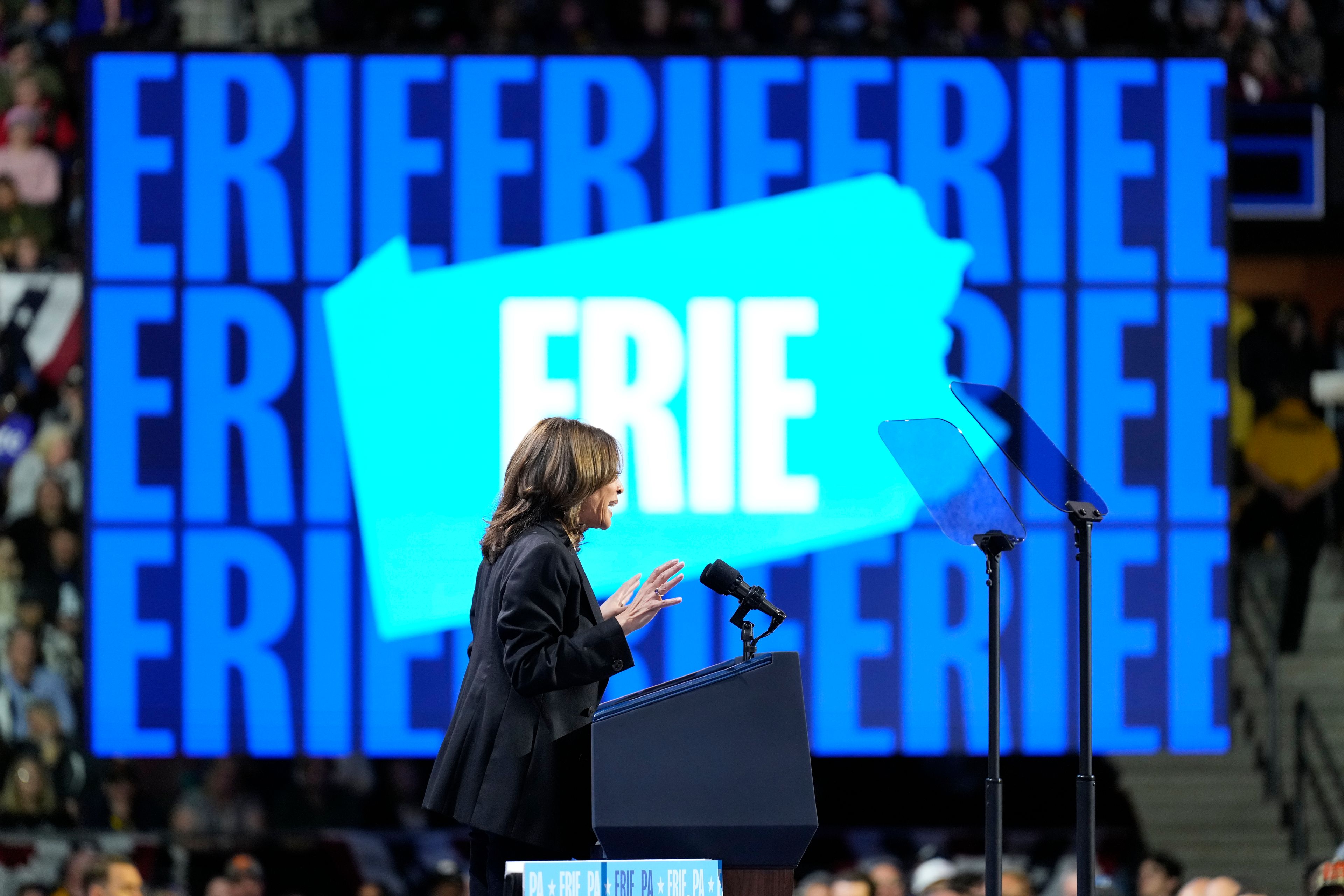 Democratic presidential nominee Vice President Kamala Harris speaks during a campaign rally at Erie Insurance Arena, in Erie, Pa., Monday, Oct. 14, 2024. (AP Photo/Jacquelyn Martin)