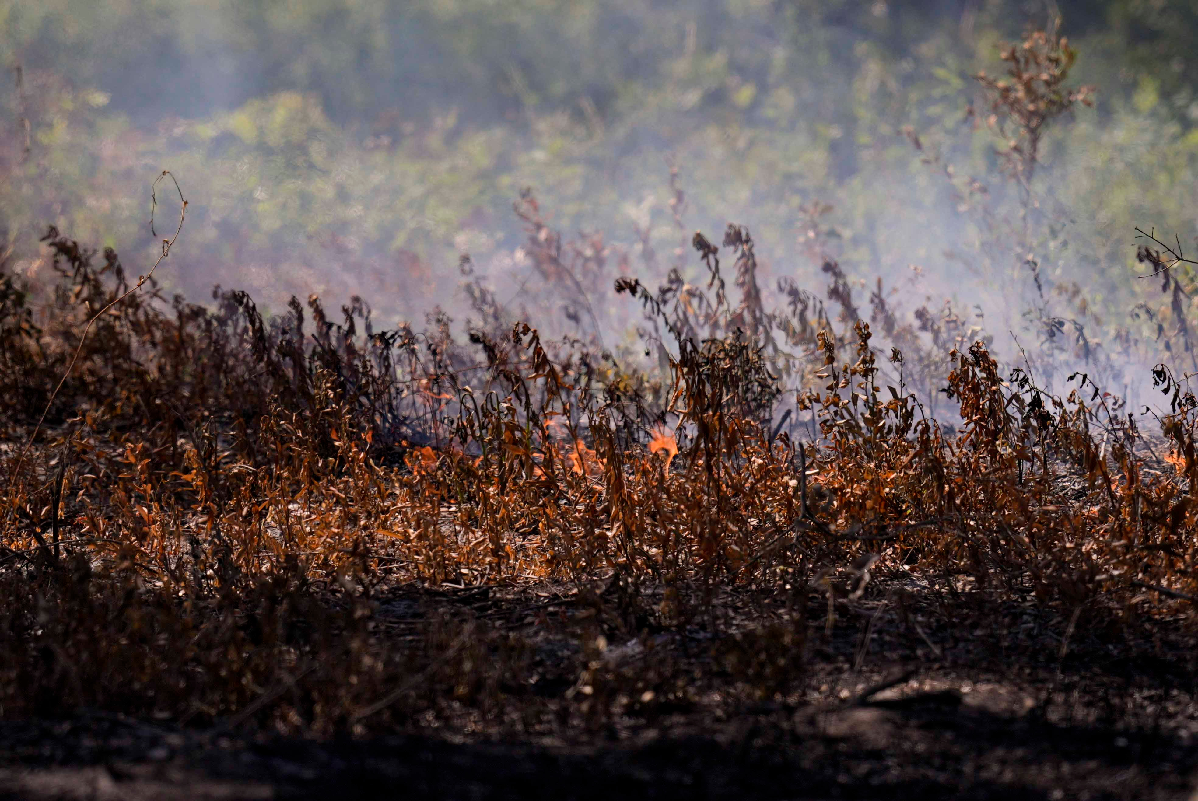 Georgia blaze shows how climate change has led to more wildf
