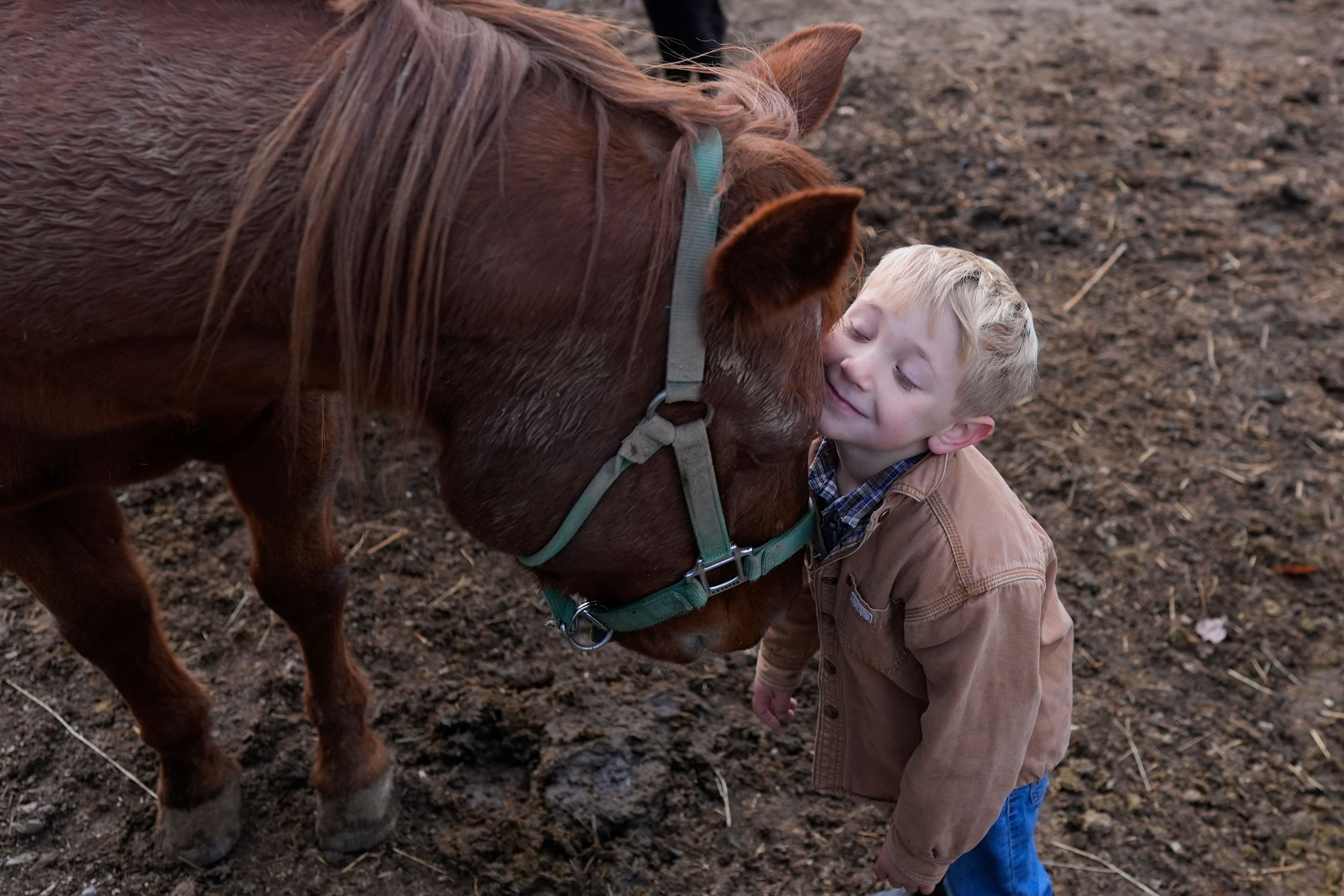 Isaac Young rests his cheek on the family horse Rusty's forehead during farm chores before homeschooling, Tuesday, Nov. 12, 2024, in Sunbury, Ohio. (AP Photo/Carolyn Kaster)