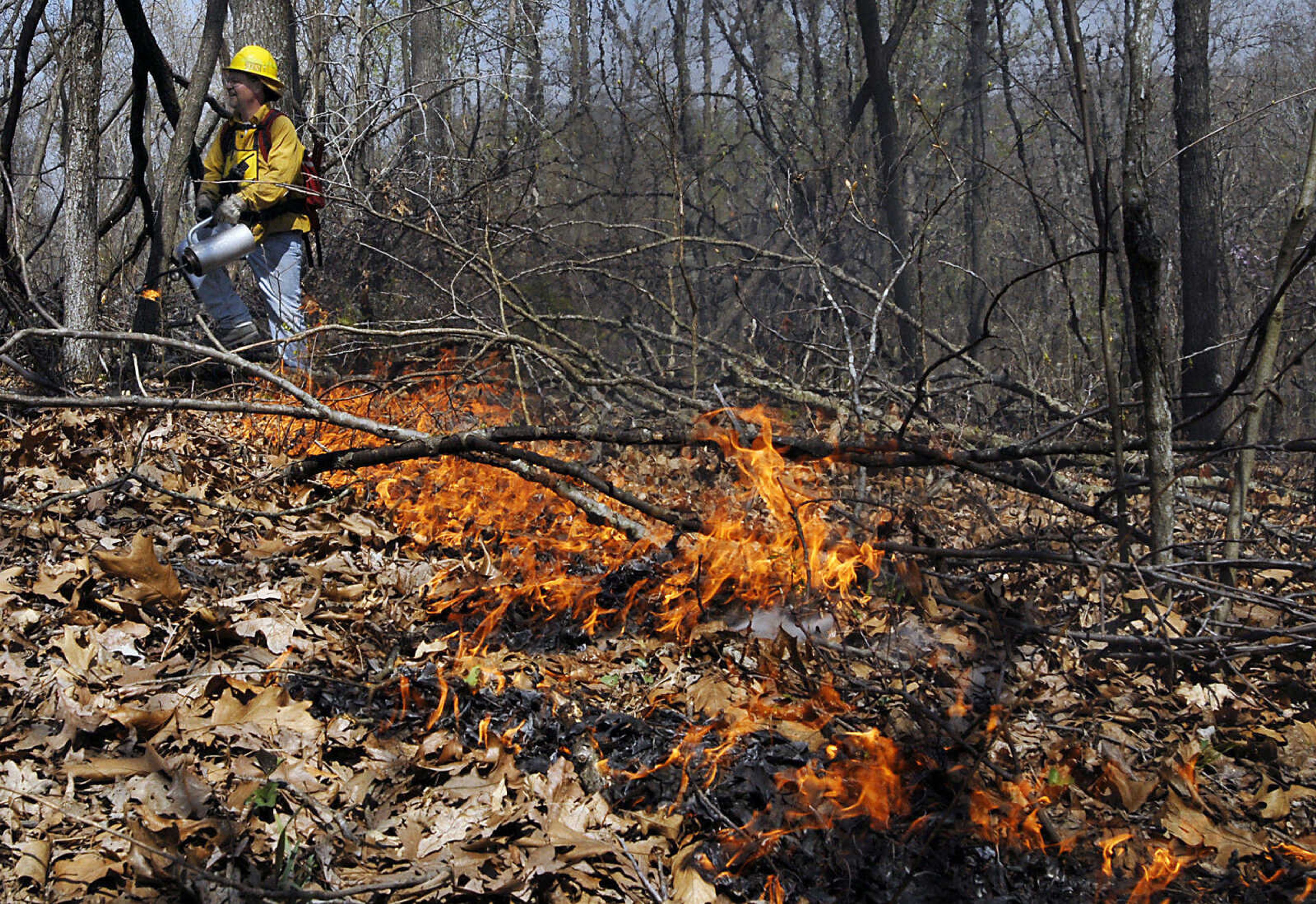 KIT DOYLE ~ kdoyle@semissourian.com
Tim Turpin starts a 1,300 acre  prescribed burn Wednesday morning, April 8, 2009, along the Peewah Trail at Trail of Tears State Park.