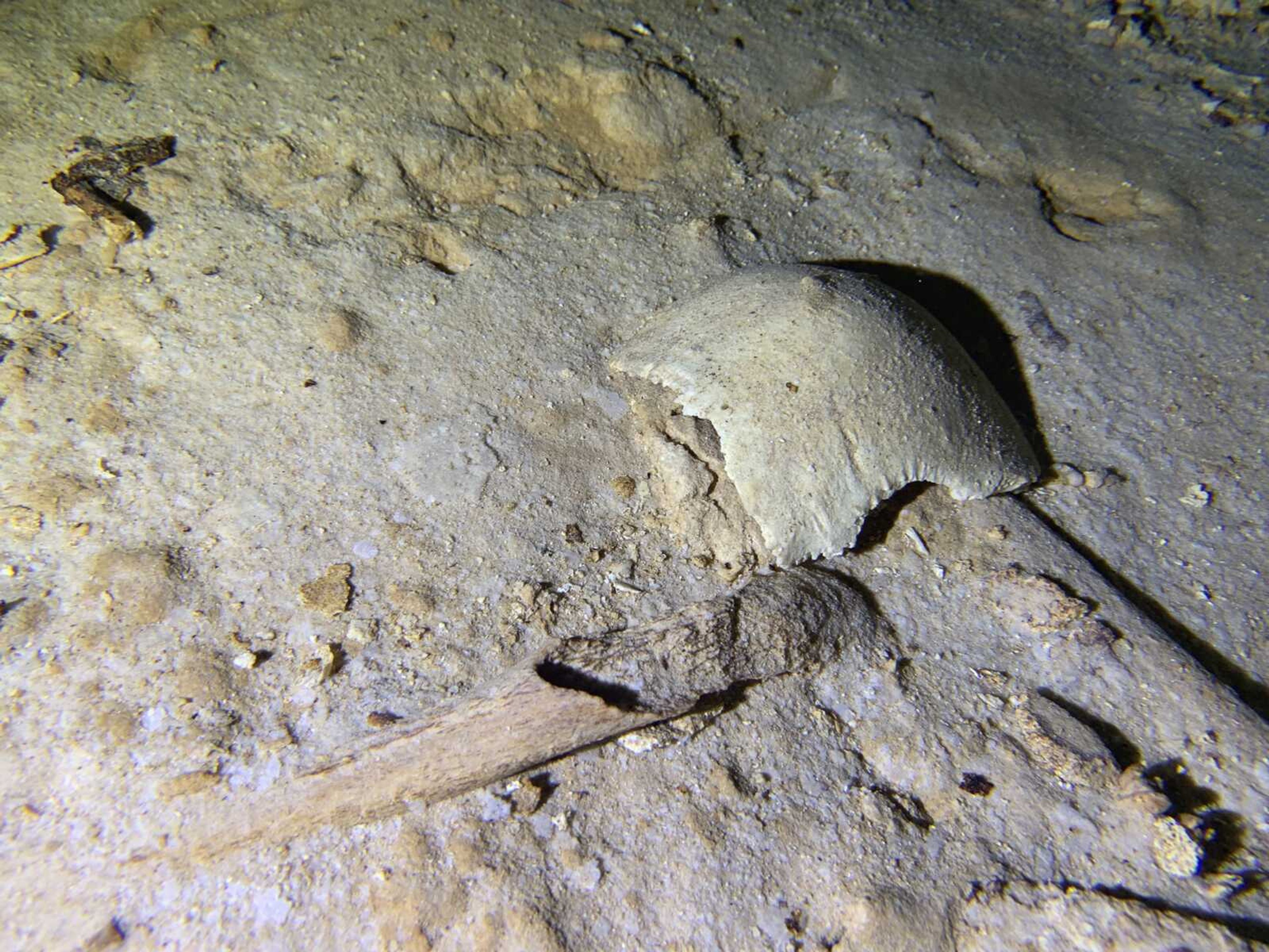 Fragments of a pre-historic human skeleton partly covered by sediment in an underwater cave Saturday in Tulum, Mexico. The cave system was flooded at the end of the last ice age 8,000 years ago, according to an archaeologist and cave diver Octavio del Rio, and is located near where the government plans to build a high-speed tourist train through the jungle.