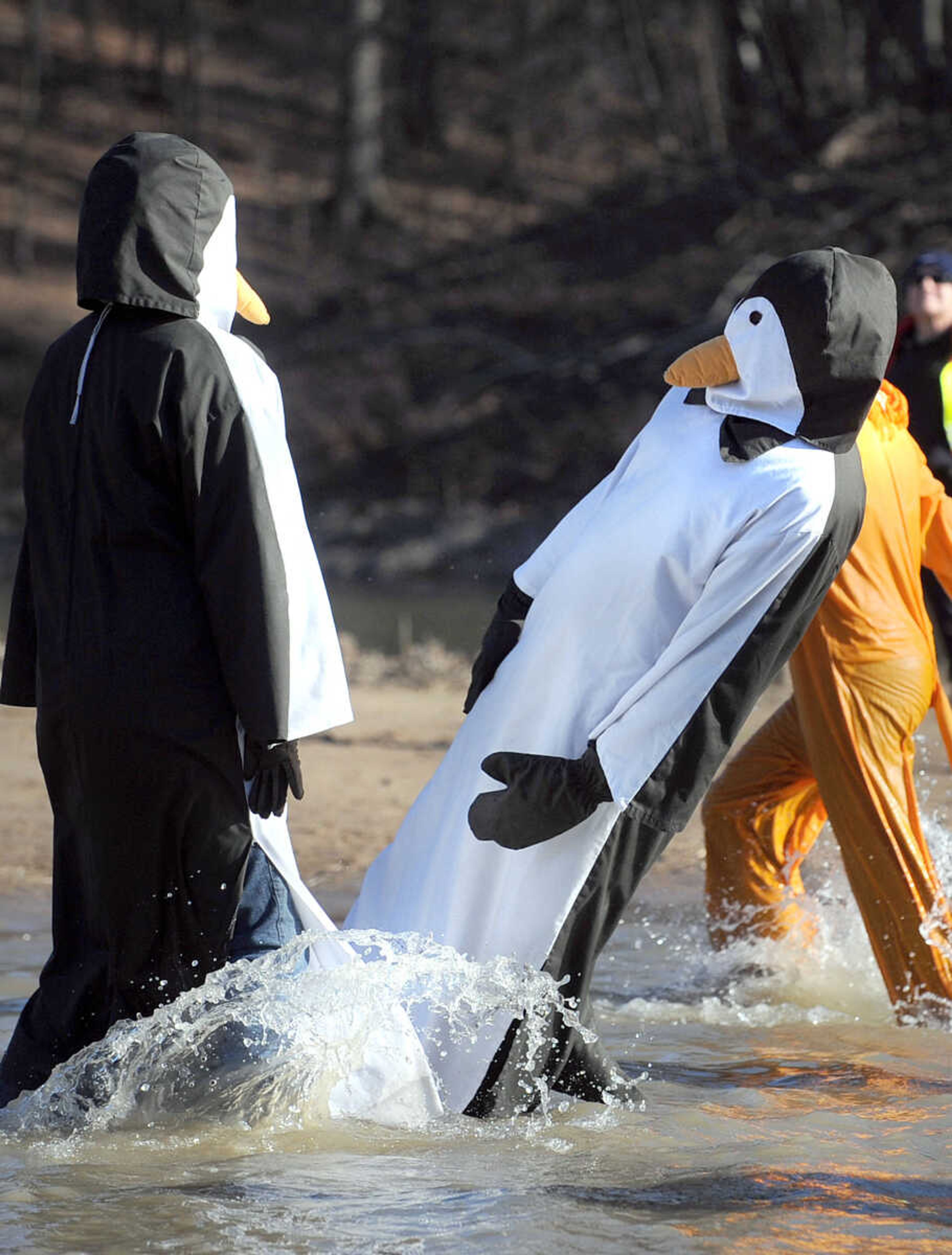 LAURA SIMON ~ lsimon@semissourian.com
People plunge into the cold waters of Lake Boutin Saturday afternoon, Feb. 2, 2013 during the Polar Plunge at Trail of Tears State Park. Thirty-six teams totaling 291 people took the annual plunge that benefits Special Olympics Missouri.