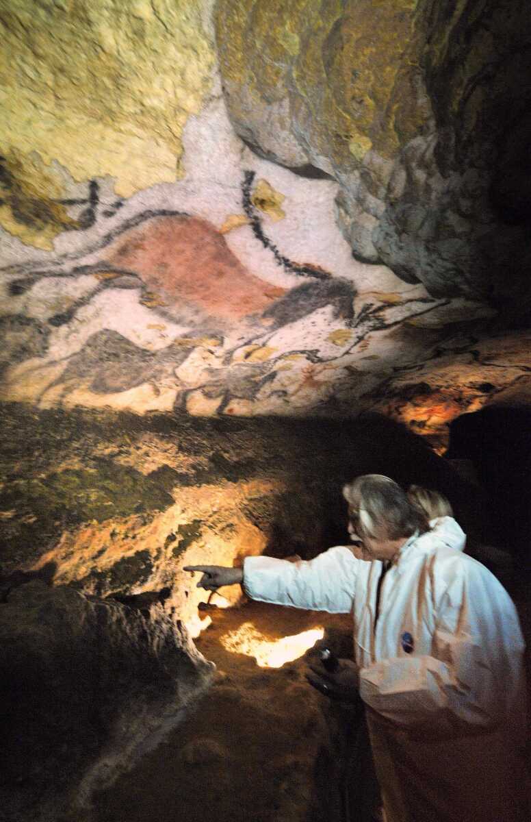 Scientists Meet To Save Lascaux Cave From Fungus scientists-meet-to-save-lascaux-cave-from-fungus