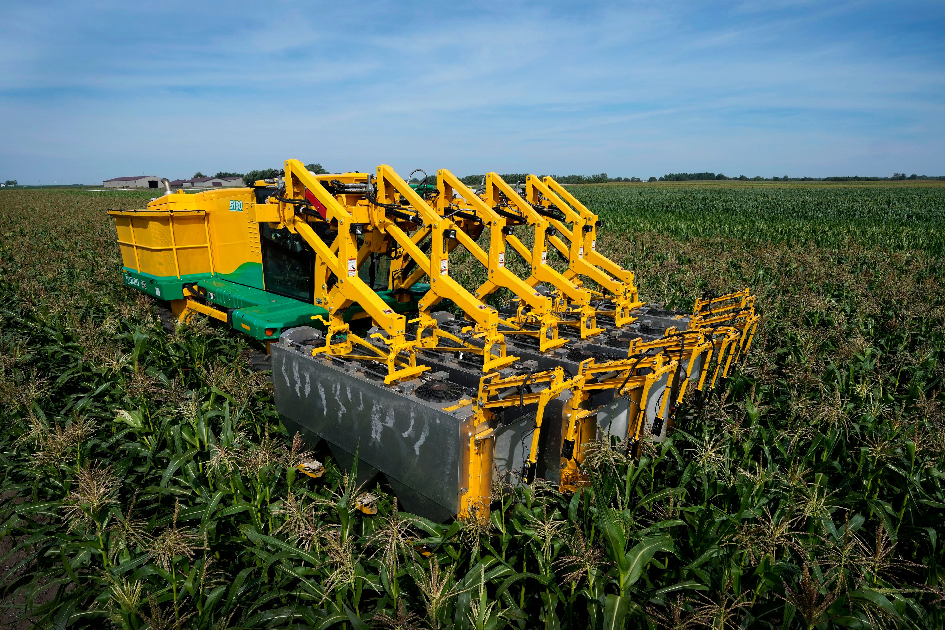 A PowerPollen pollen collector is driven through a cornfield, Thursday, Aug. 22, 2024, near Ames, Iowa. (AP Photo/Charlie Neibergall)