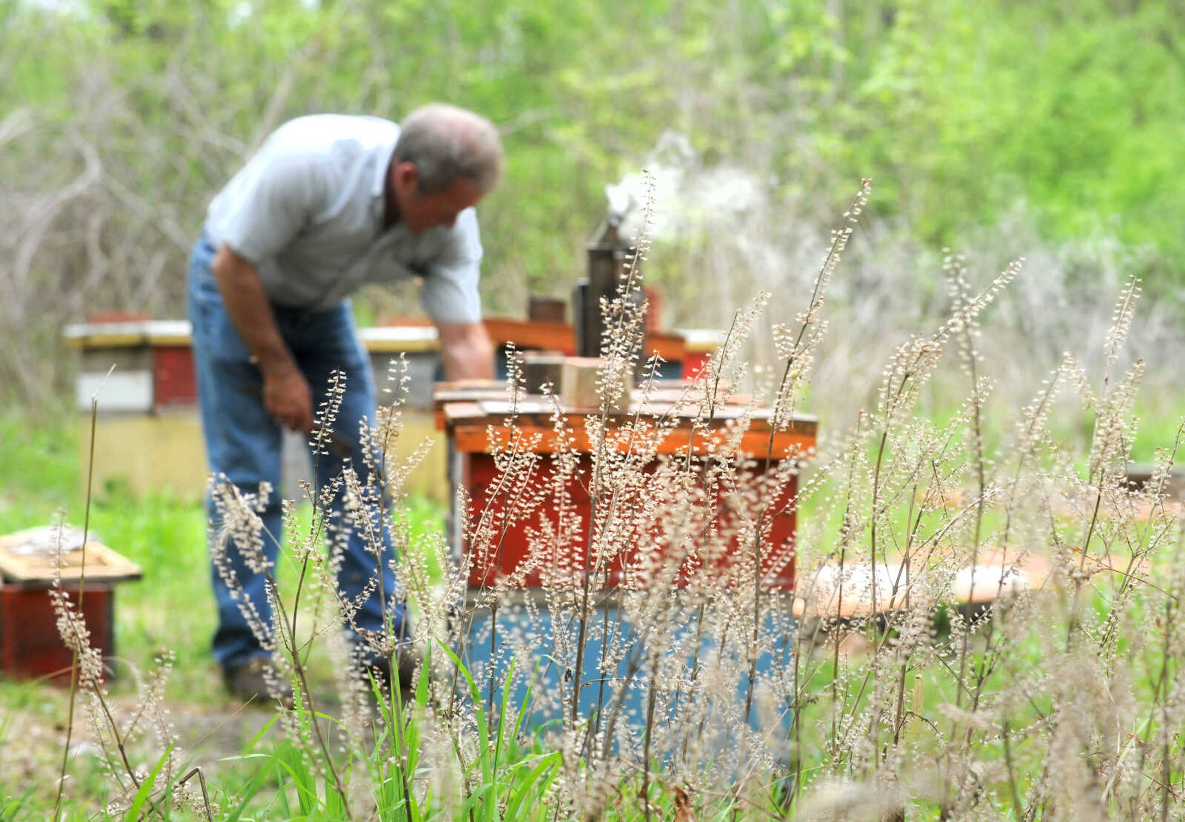 LAURA SIMON ~ lsimon@semissourian.com

Grant Gilliard checks on his beehives in Cape Girardeau County.