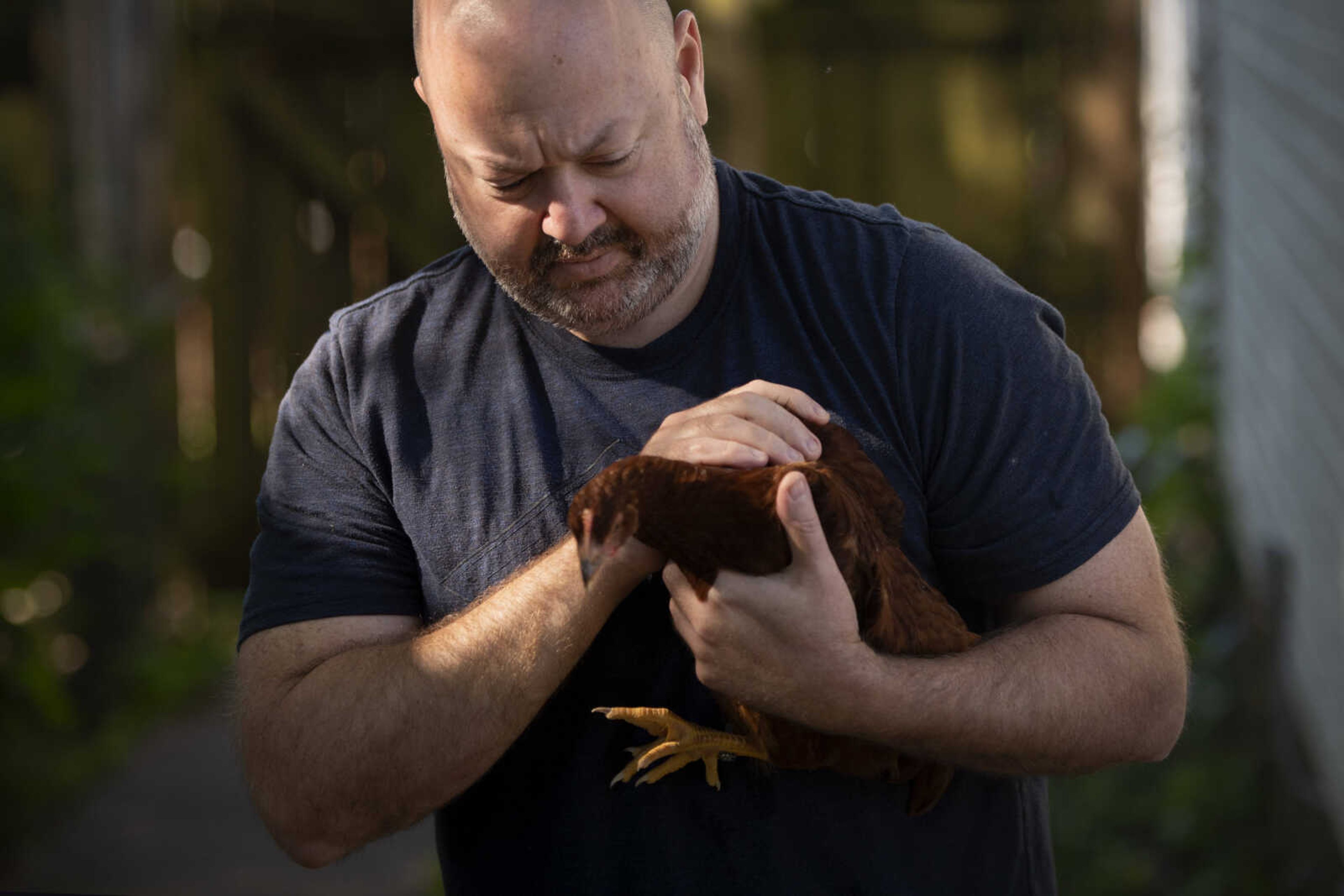 Andrew Bard of Cape Girardeau poses for a portrait with one of his Rhode Island Red chickens Saturday, May 30, 2020, at his home in Cape Girardeau.