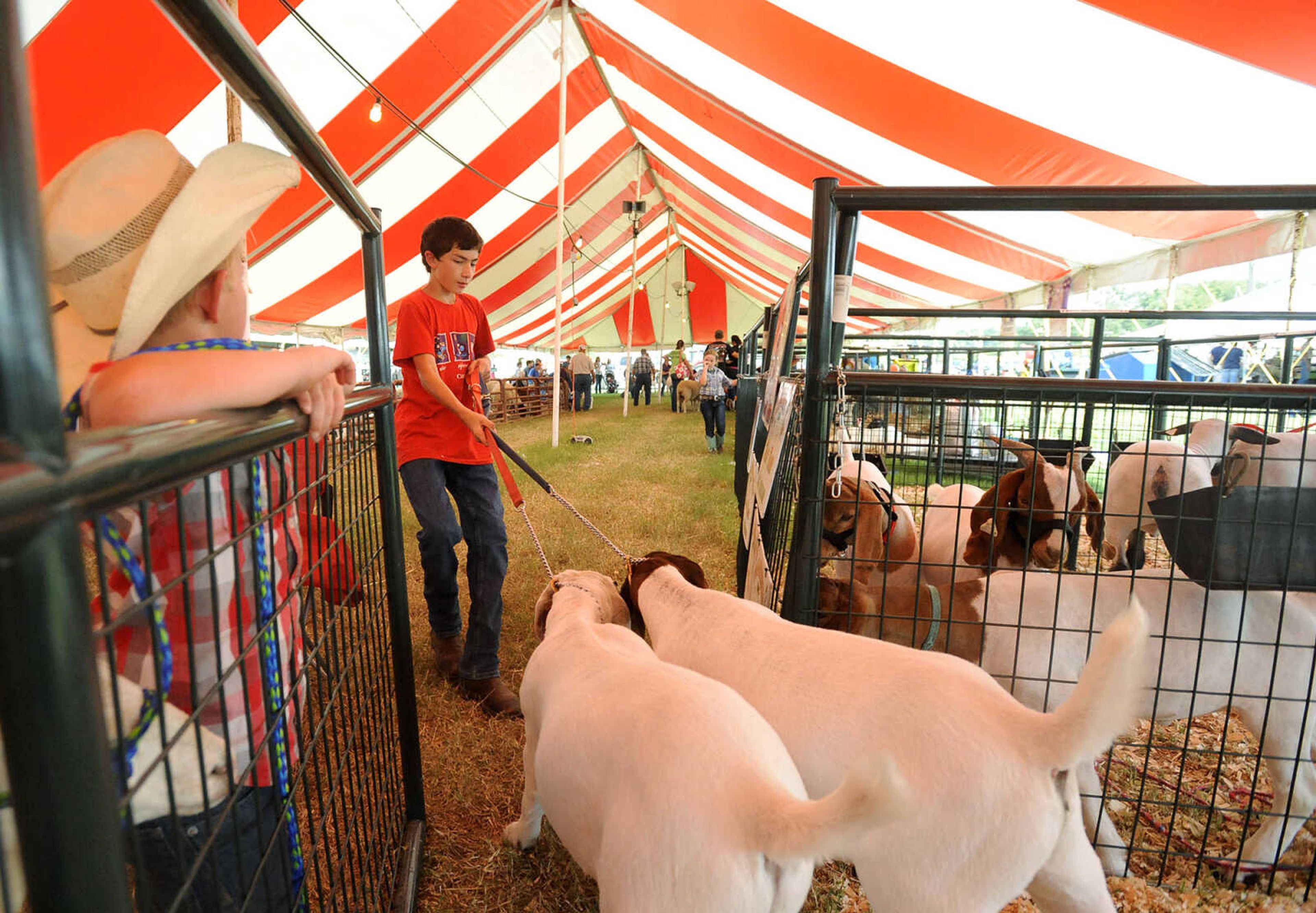 LAURA SIMON ~ lsimon@semissourian.com

The SEMO District Fair continues on Wednesday, Sept. 14, 2016, at Arena Park in Cape Girardeau.