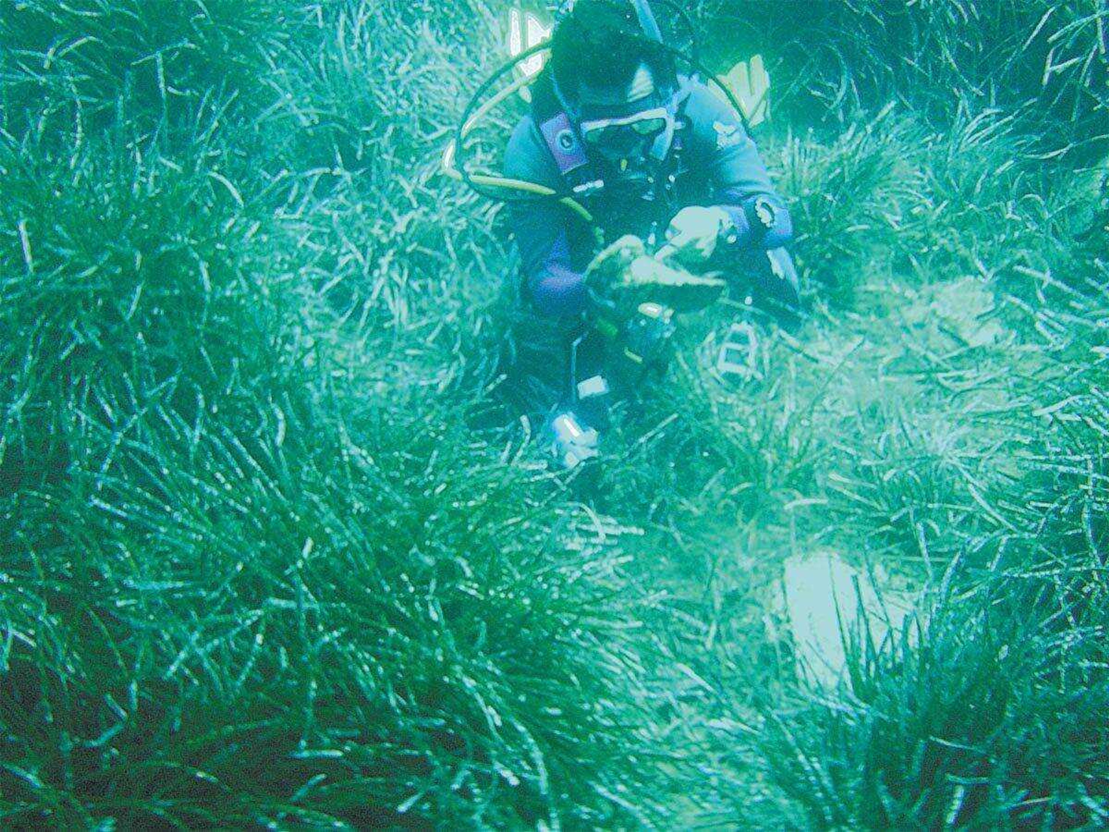 A two-week diving school taught students the different aspects of marine archaeology off the coast of Menorca, a Spanish island. (Jennifer Rickard ~ Courtesy)