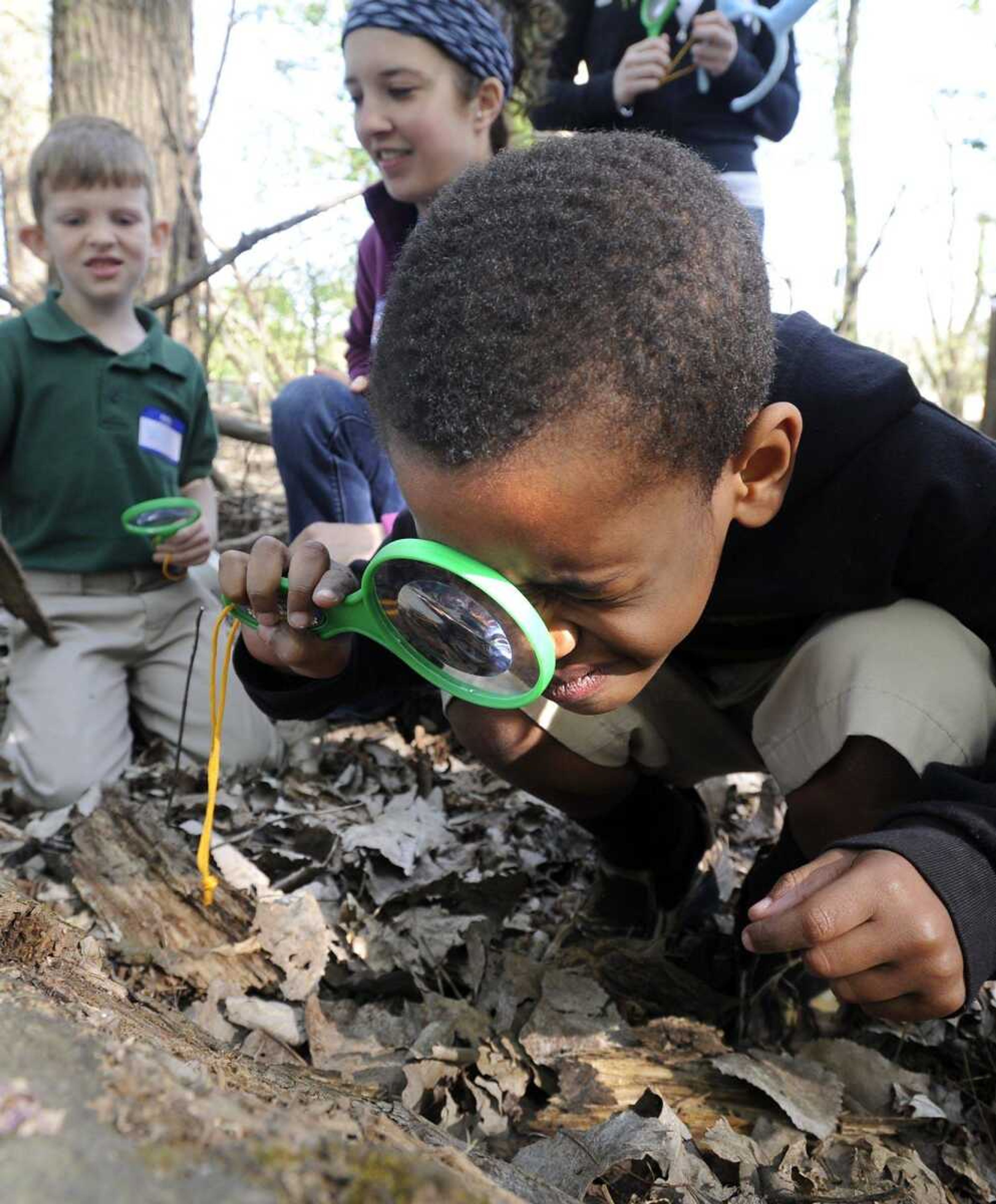 Jayden Austin, a kindergartner at Prodigy Leadership Academy, looks for life in a dead tree Thursday while on a field trip in the woods near the Red Star Access in Cape Girardeau. Southeast Missouri State University students in the nature literacy class led the tour. (Fred Lynch)