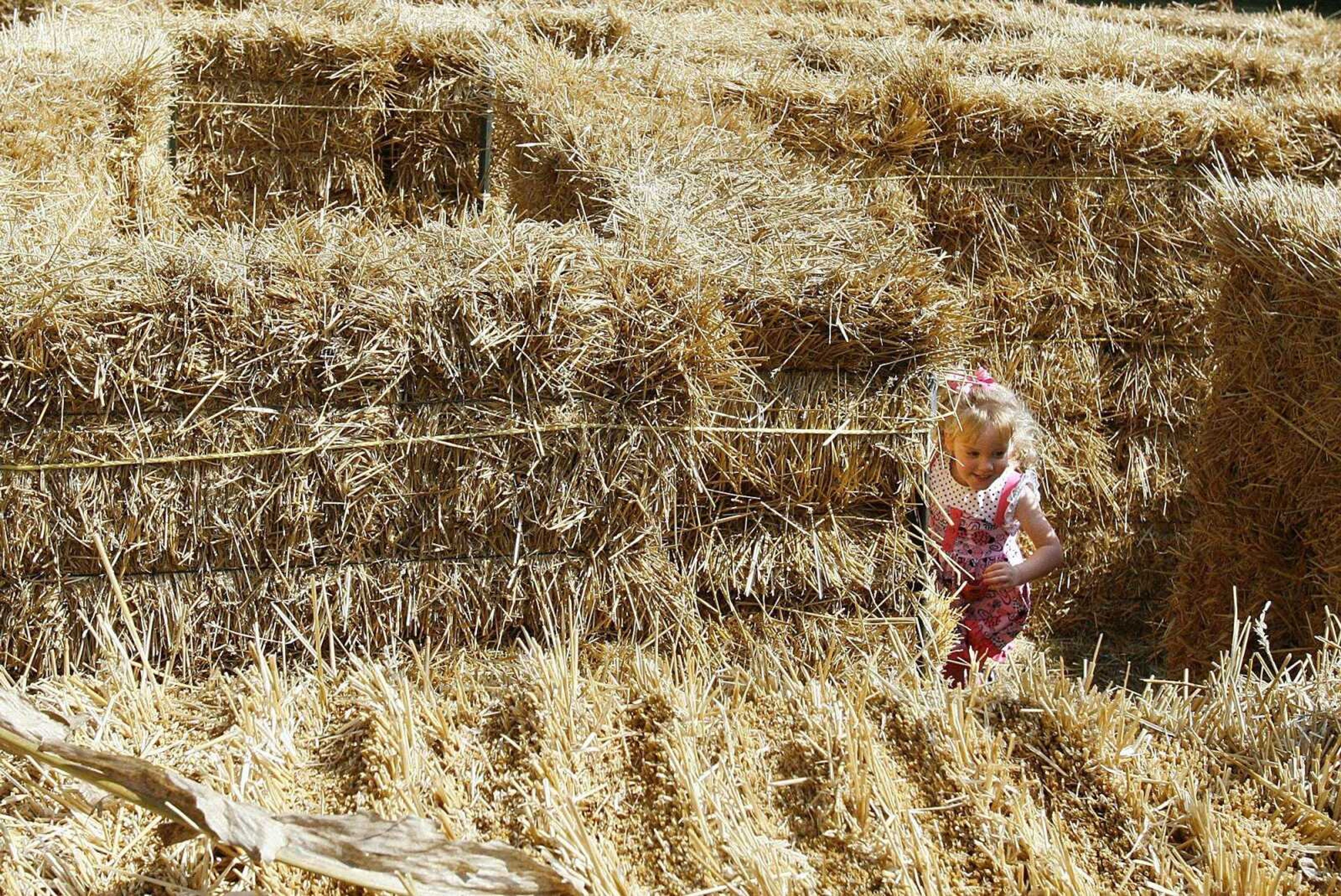 ELIZABETH DODD ~ edodd@semissourian.com
Kylie Hinkle attempts to find her way out of the straw maze at the Black Forest Villages 18th Annual October Fest Saturday.