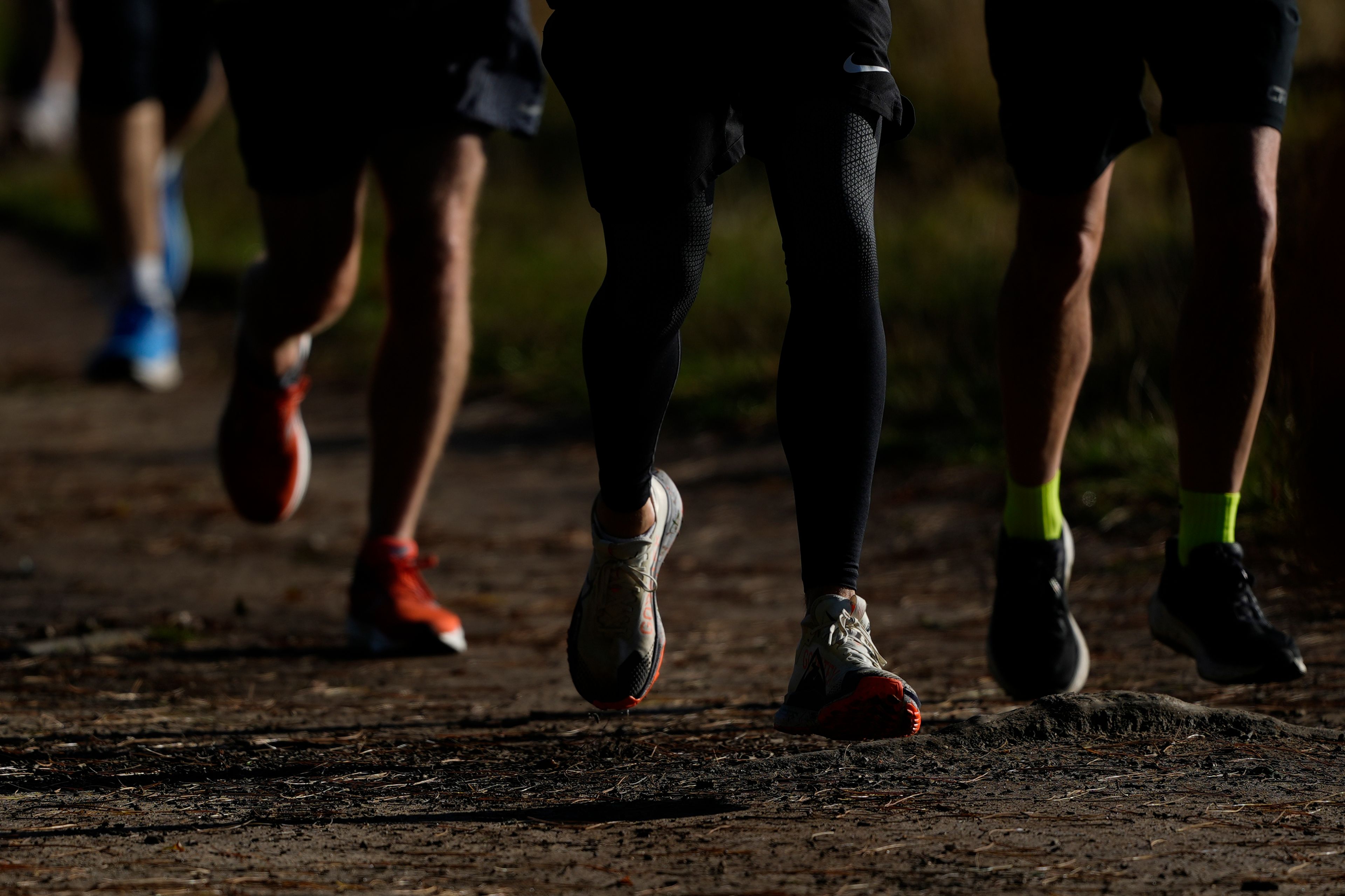 Runners compete in the parkrun event in Bushy Park, southwest London, Saturday, Sept. 28, 2024. (AP Photo/Alastair Grant)