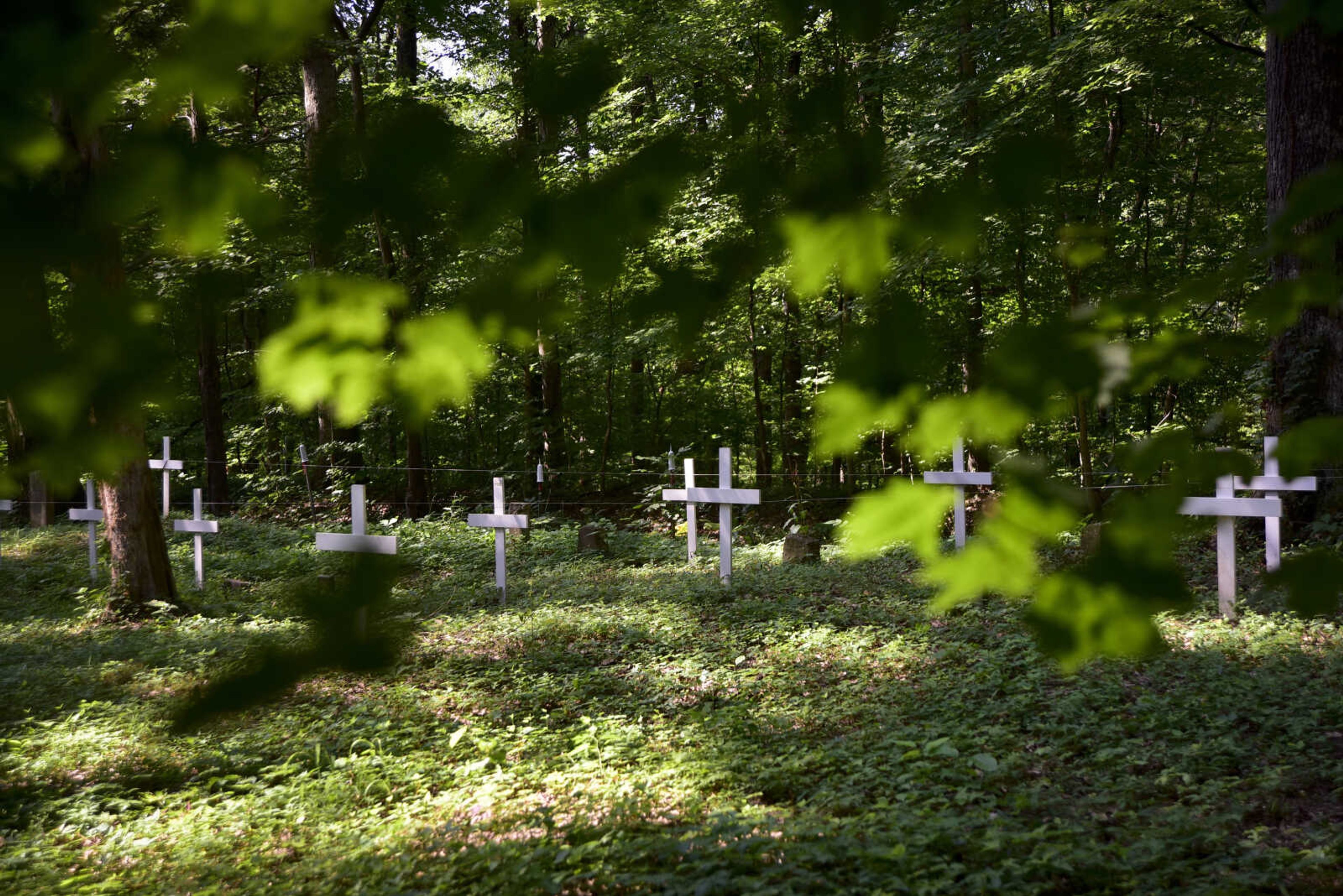 White crosses mark burials at Shady Grove Cemetery Friday, July 21, 2017 in Dutchtown