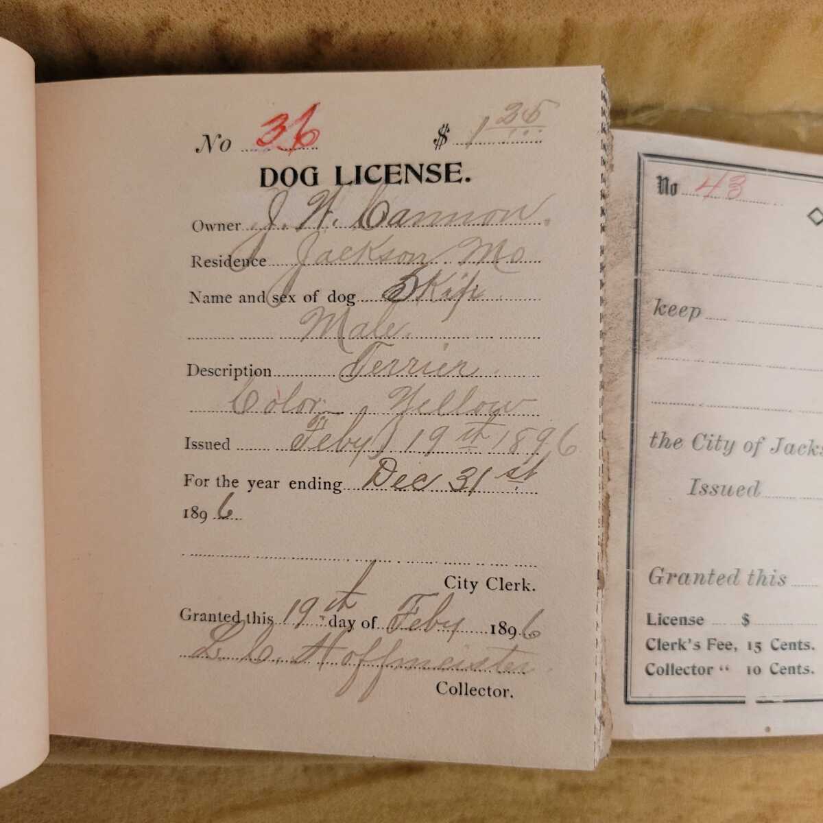 The dog days of Jackson