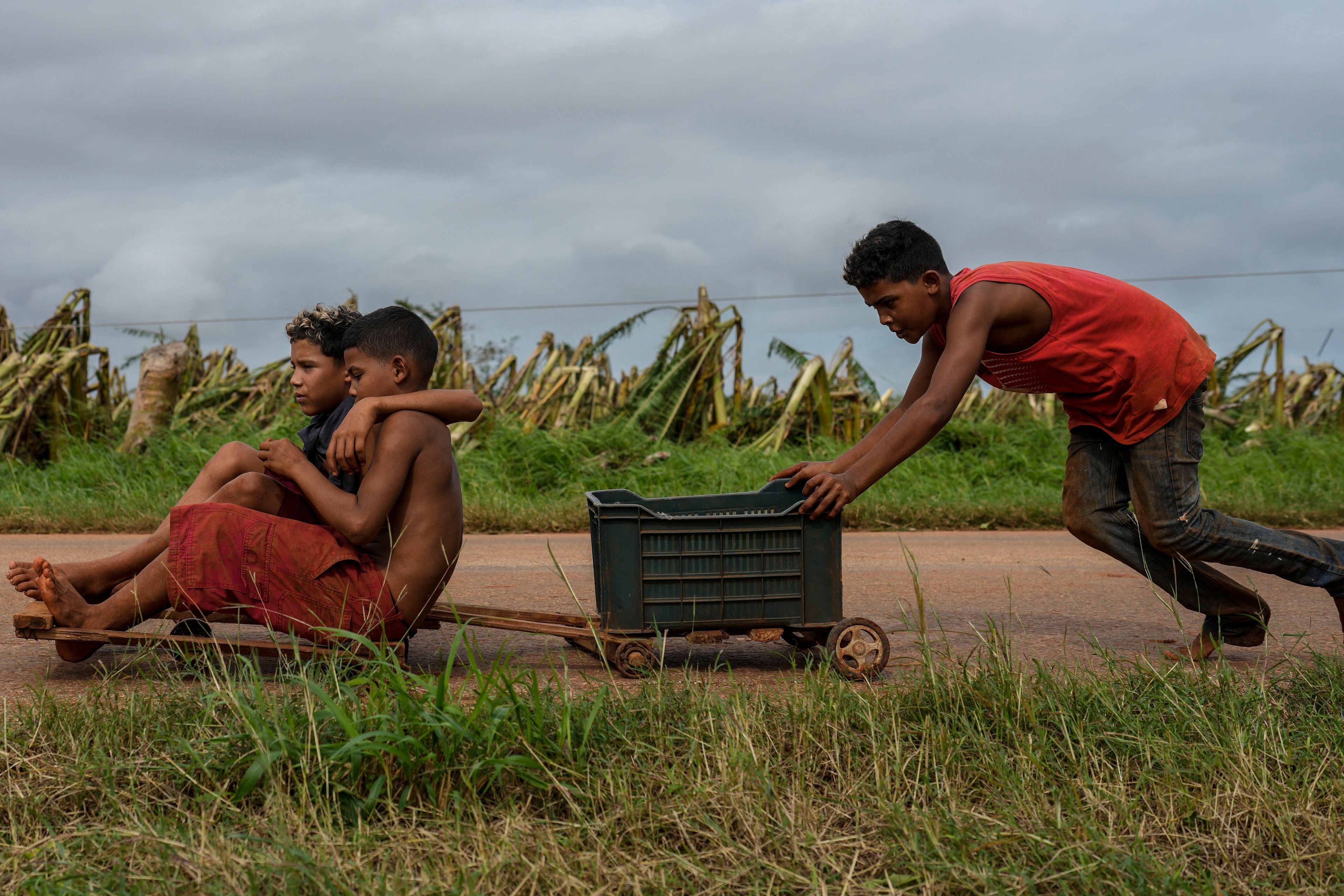 Children play on a road next to a banana plantation that was destroyed after the passage of Hurricane Rafael, in Guira de Melena, Cuba, Thursday, Nov. 7, 2024. (AP Photo/Ramon Espinosa)