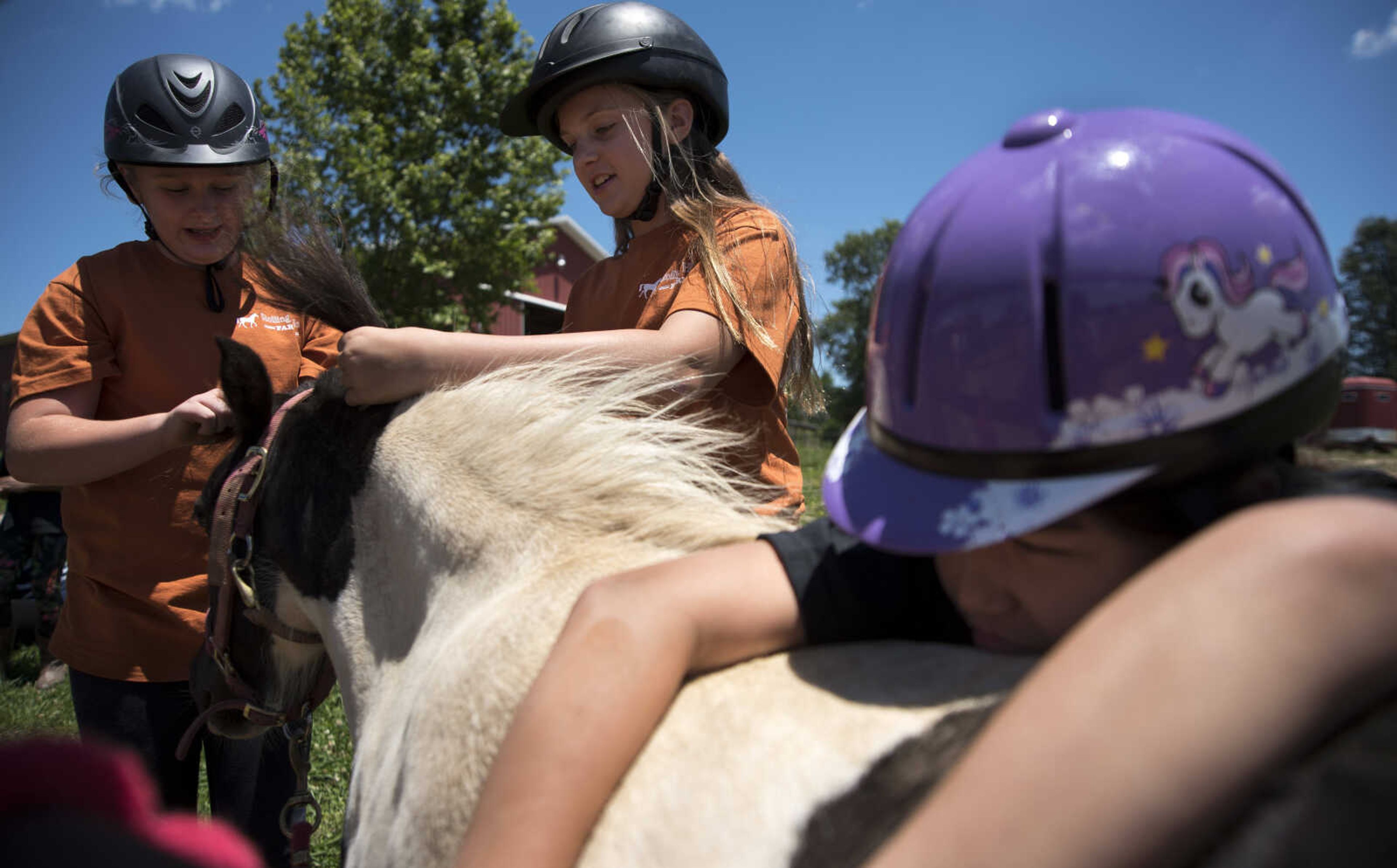 Evelynn LaVenture, 11, Mia Ahern, 10, braid a miniature horse while Mila Loafman, 10, leans up against during the Rolling Hills Youth Day Camp Wednesday, June 7, 2017 in Cape Girardeau.