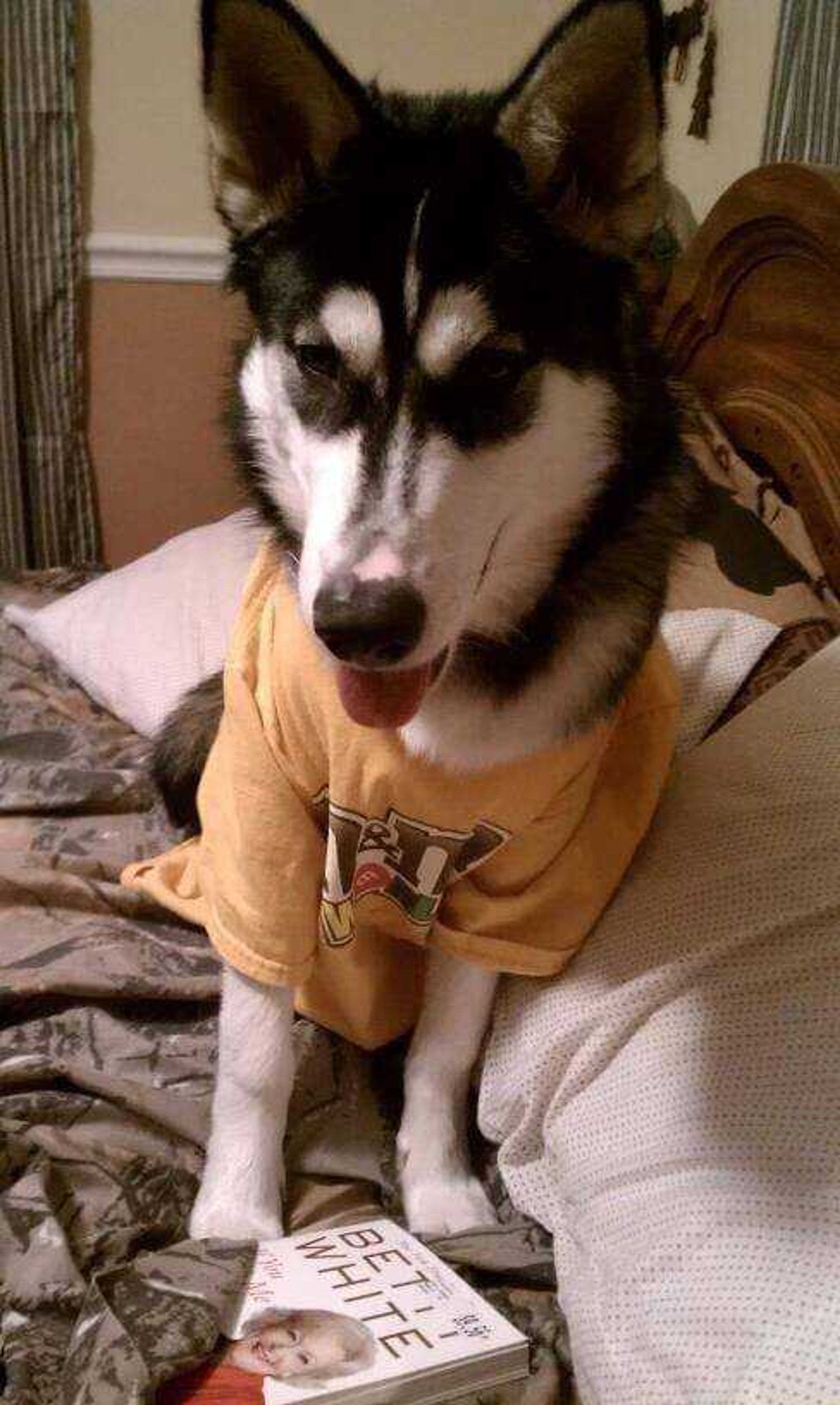 Thor loves a good book at bedtime.&nbsp; -&nbsp; Mom, will you read me my bedtime story?