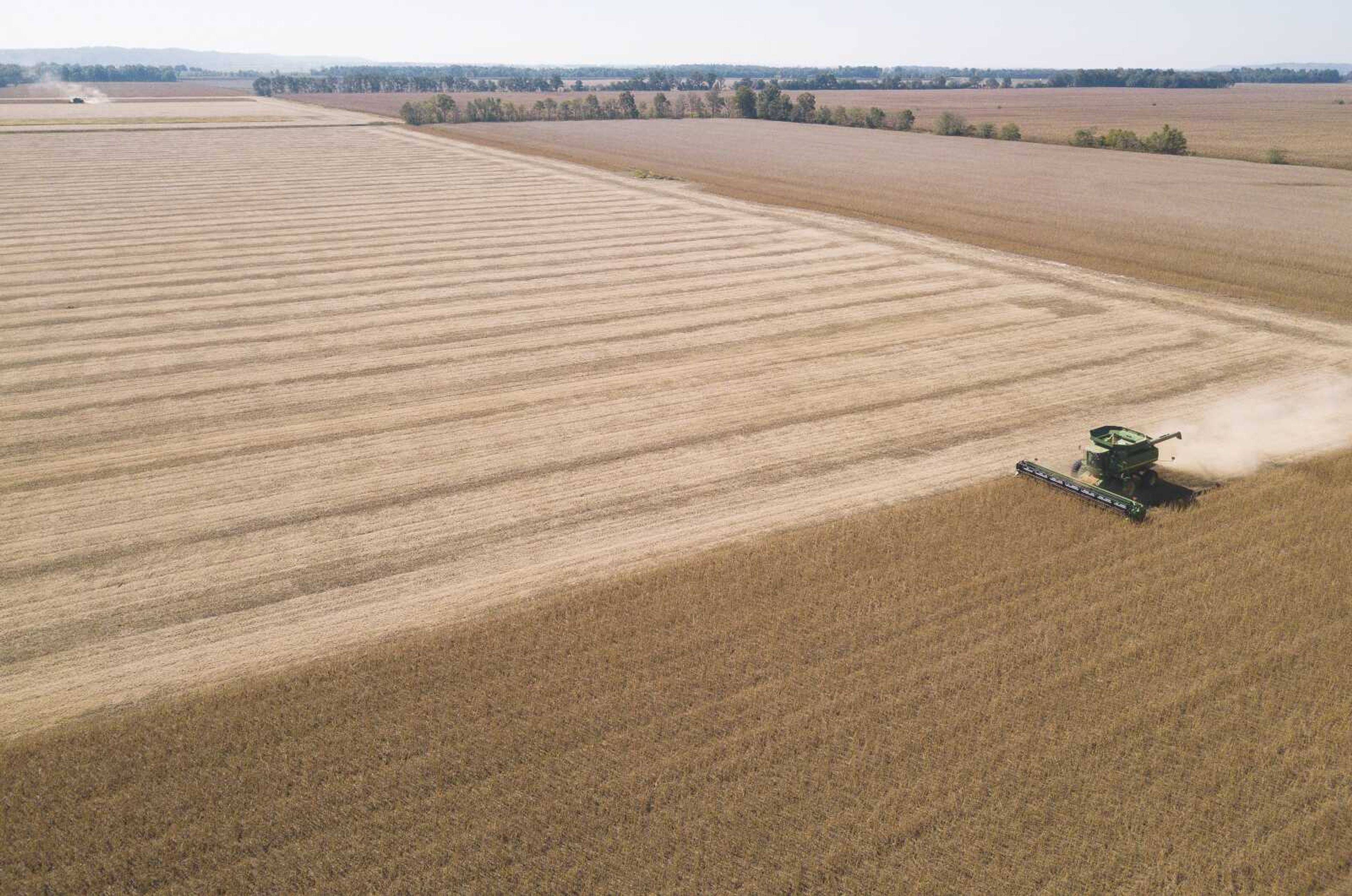 A combine harvest soybeans in a field near Dutchtown for Jahn Farms.