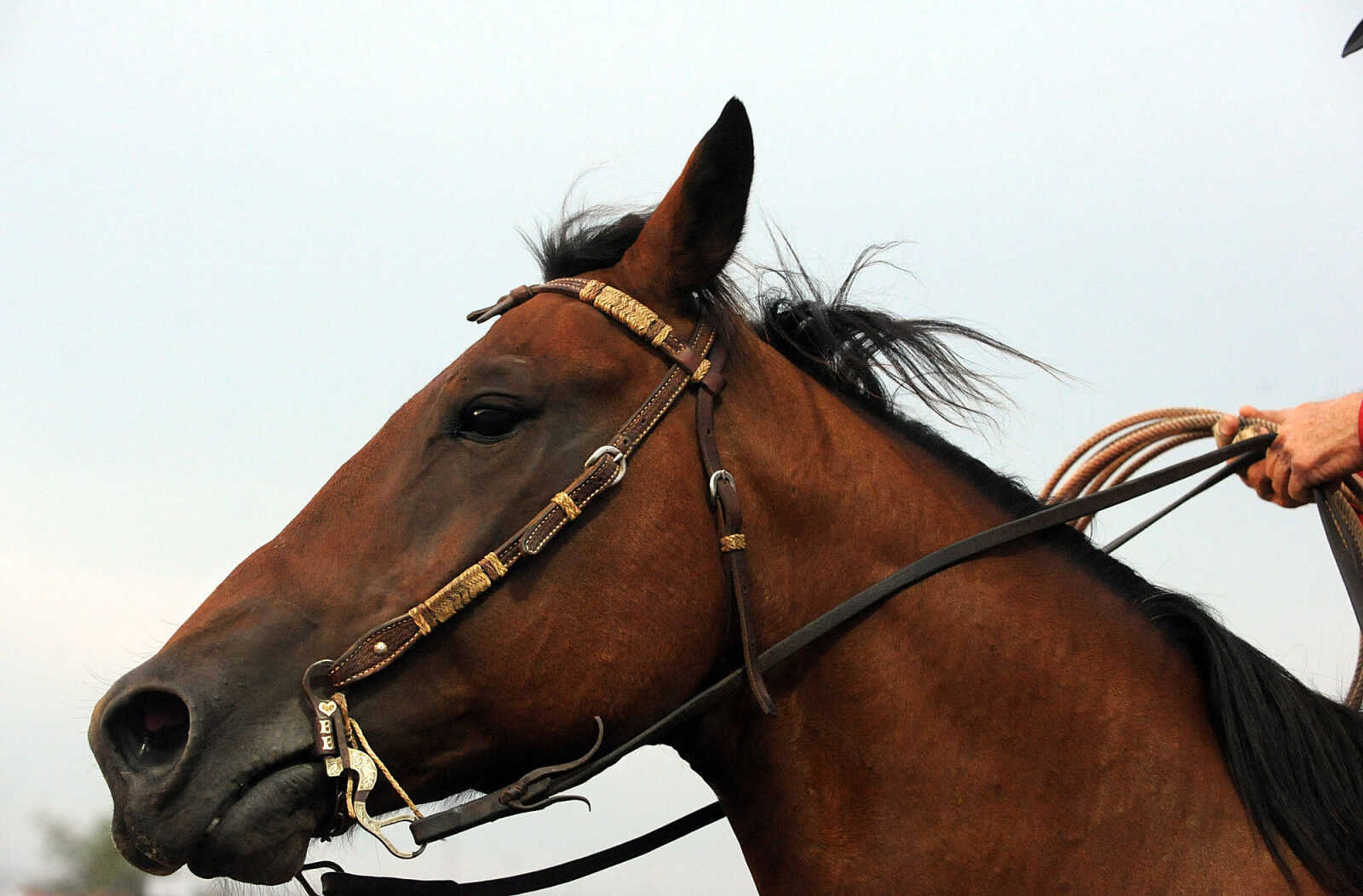 LAURA SIMON ~ lsimon@semissourian.com
The Jaycee Bootheel Rodeo Wednesday night, Aug. 8, 2012 in Sikeston, Mo.