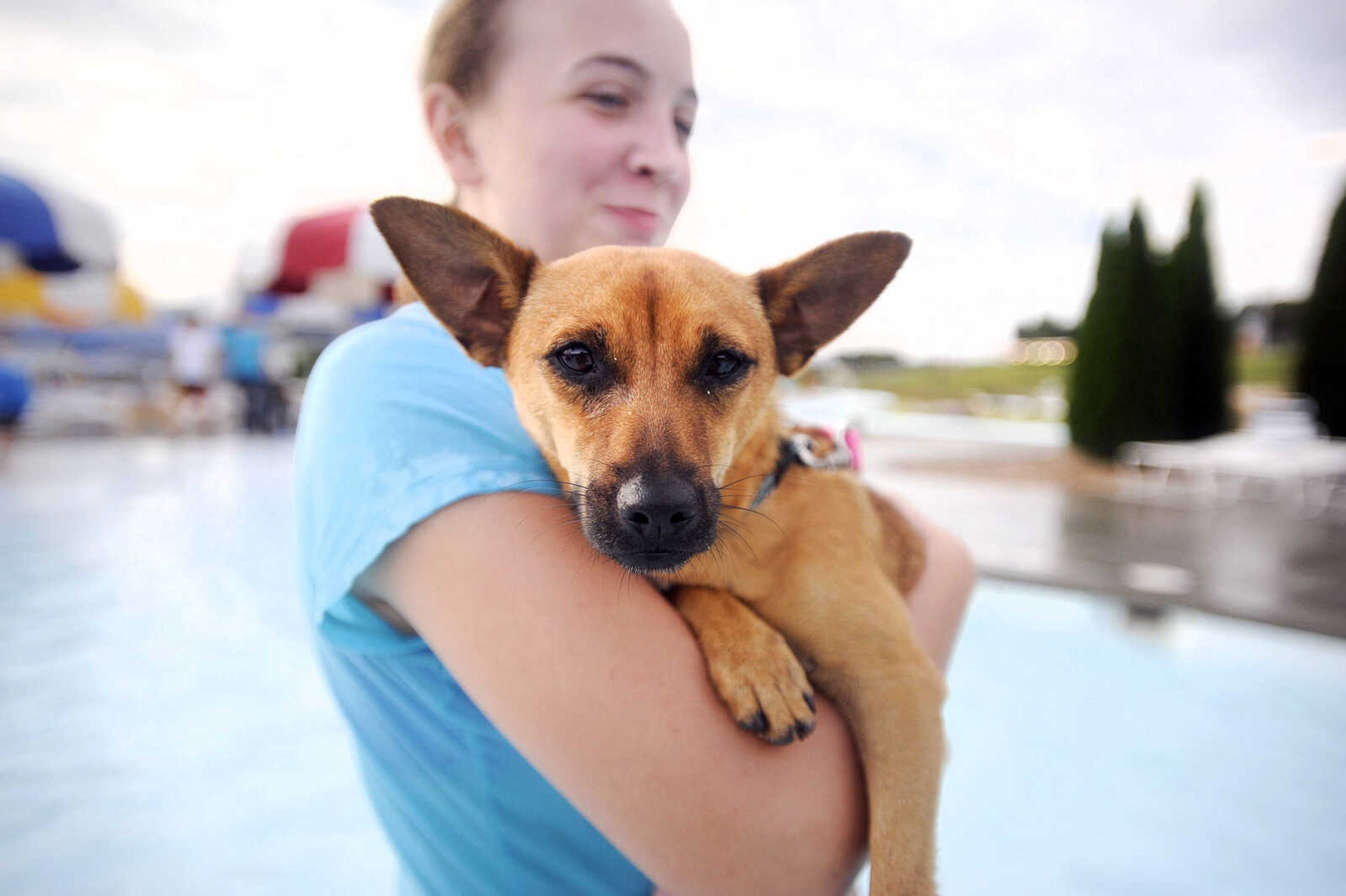 LAURA SIMON ~ lsimon@semissourian.com

Doggy Swim Day at Cape Splash, Sunday, Sept. 27, 2015, in Cape Girardeau. Leashed dogs got to swim and play in the lazy river and swimming pools with their owners. Proceeds from event benefit the Cape Girardeau Parks and Recreation Foundation.