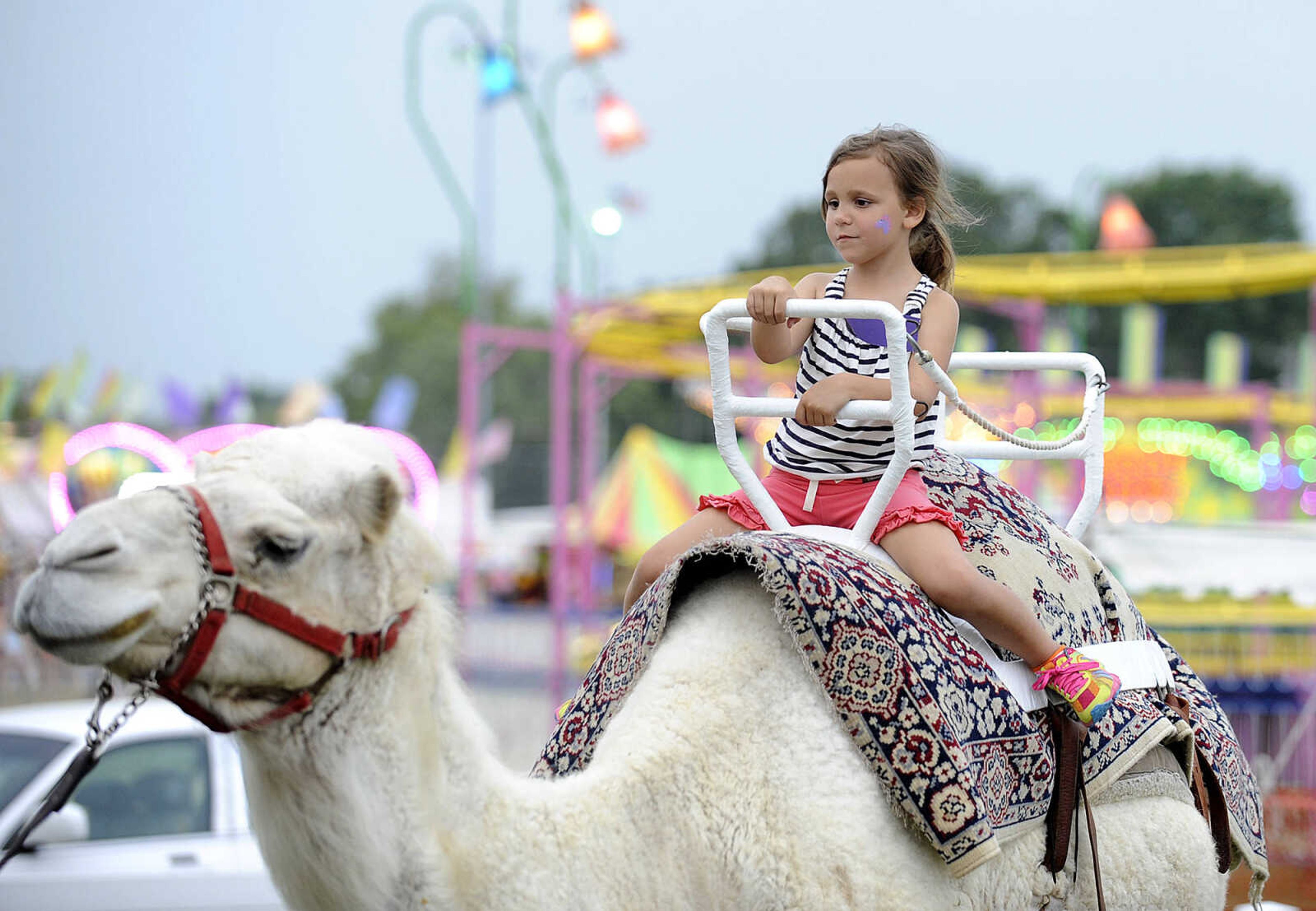 GLENN LANDBERG ~ glandberg@semissourian.com

Aubrie Holloway takes a ride on a camel during the SEMO District Fair Wednesday, Sept 10, 2014 at Arena Park in Cape Girardeau.