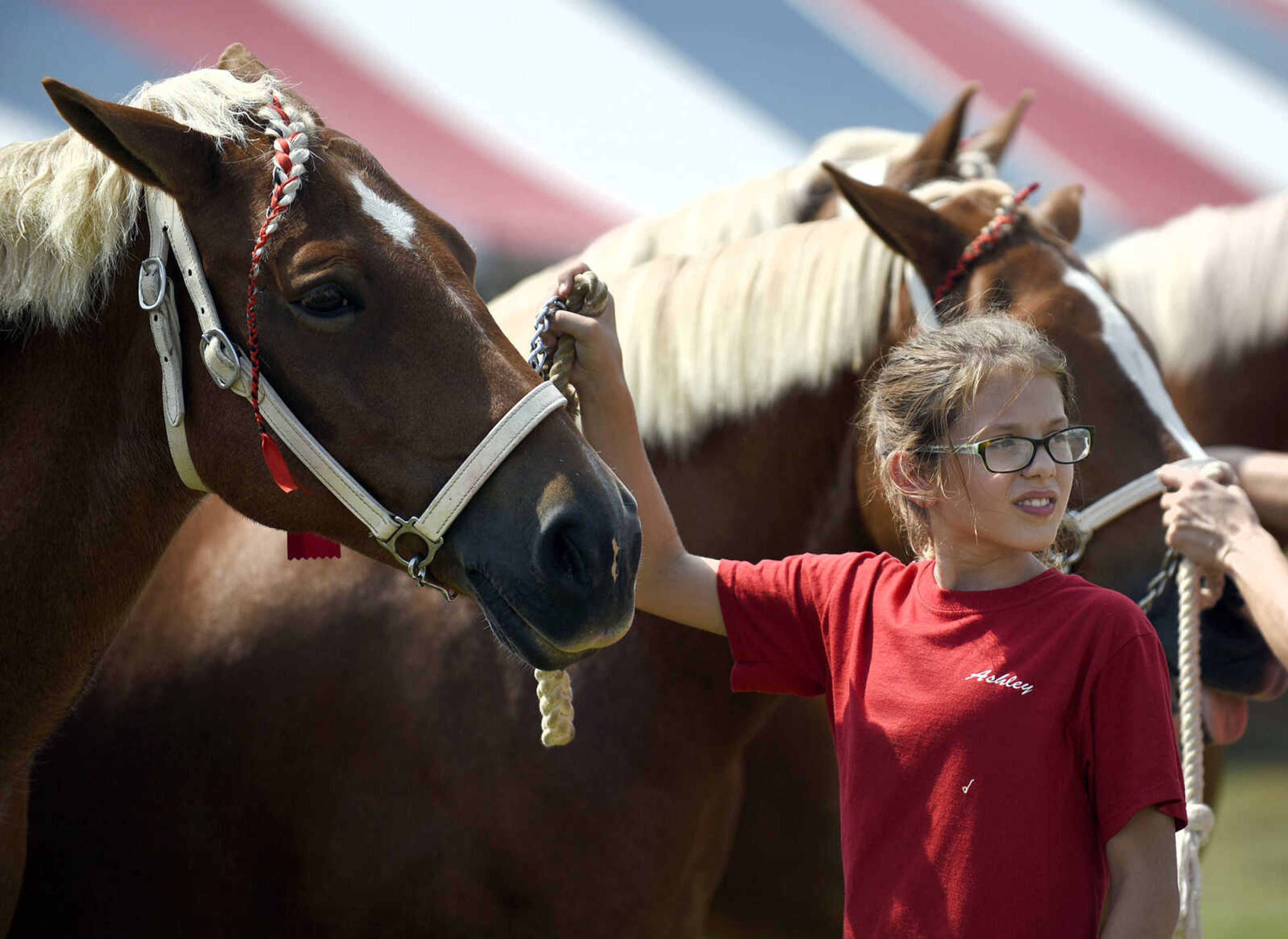 LAURA SIMON ~ lsimon@semissourian.com

People show their draft ponies during the SEMO District Fair on Friday, Sept. 16, 2016, at Arena Park in Cape Girardeau.