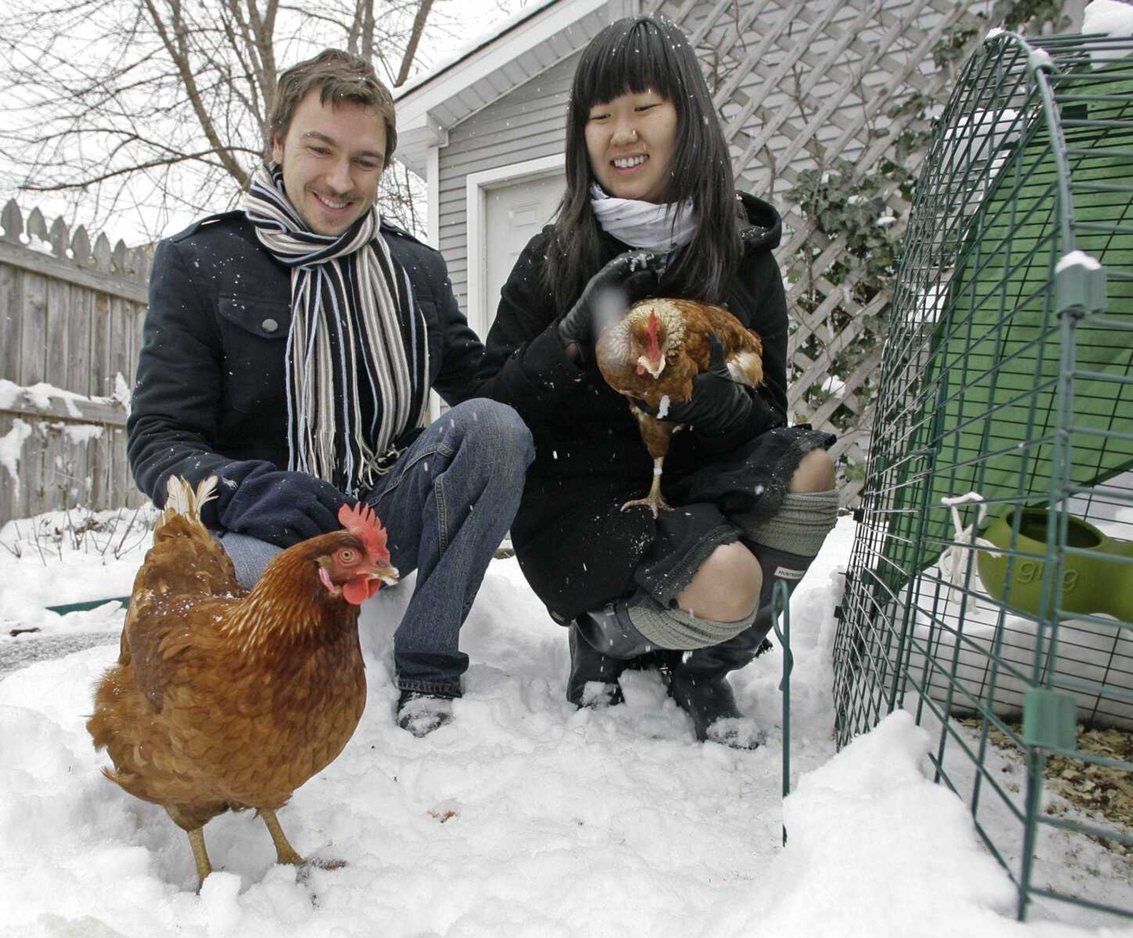 Kim Jackson and her husband, Zach, crouched Dec. 5 outside their house with their chickens, Chalmers, left, and Papoo. Chicago is poised to ban the practice of keeping chickens in the city. (M. Spencer Green ~ Associated Press)