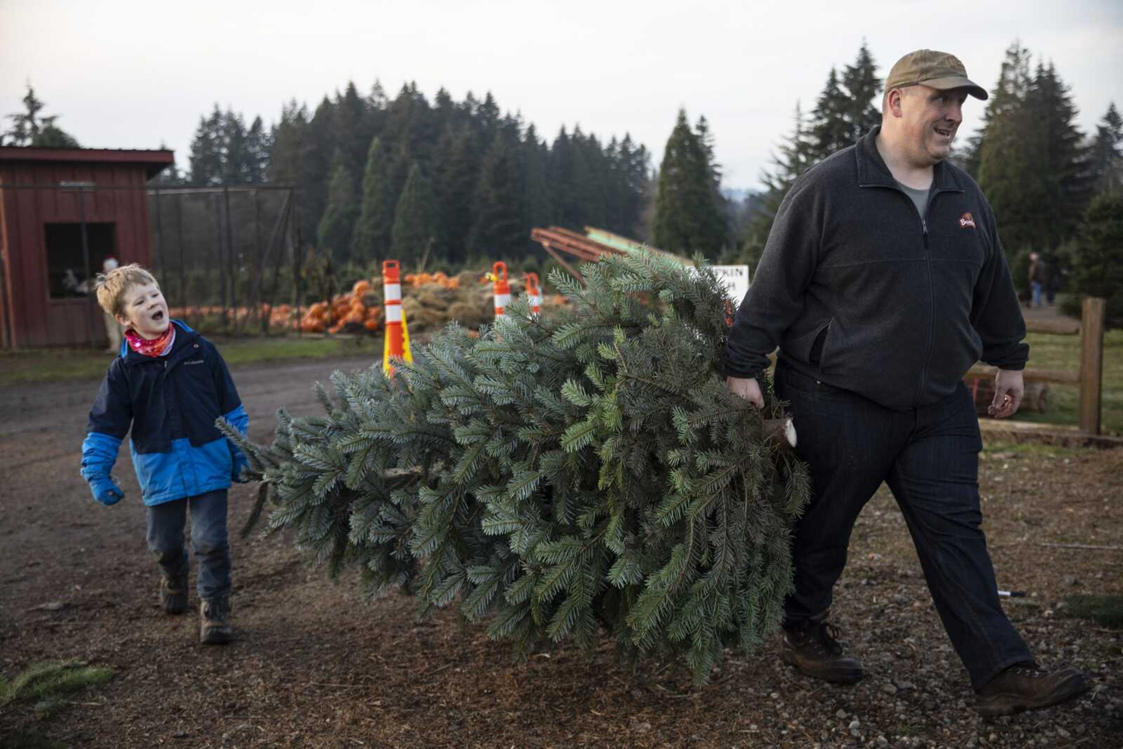 Tim Daley and son, Jacob, 9, from Tualatin carry their freshly cut Christmas tree on Nov. 21 at Lee farms in Tualatin, Oregon.