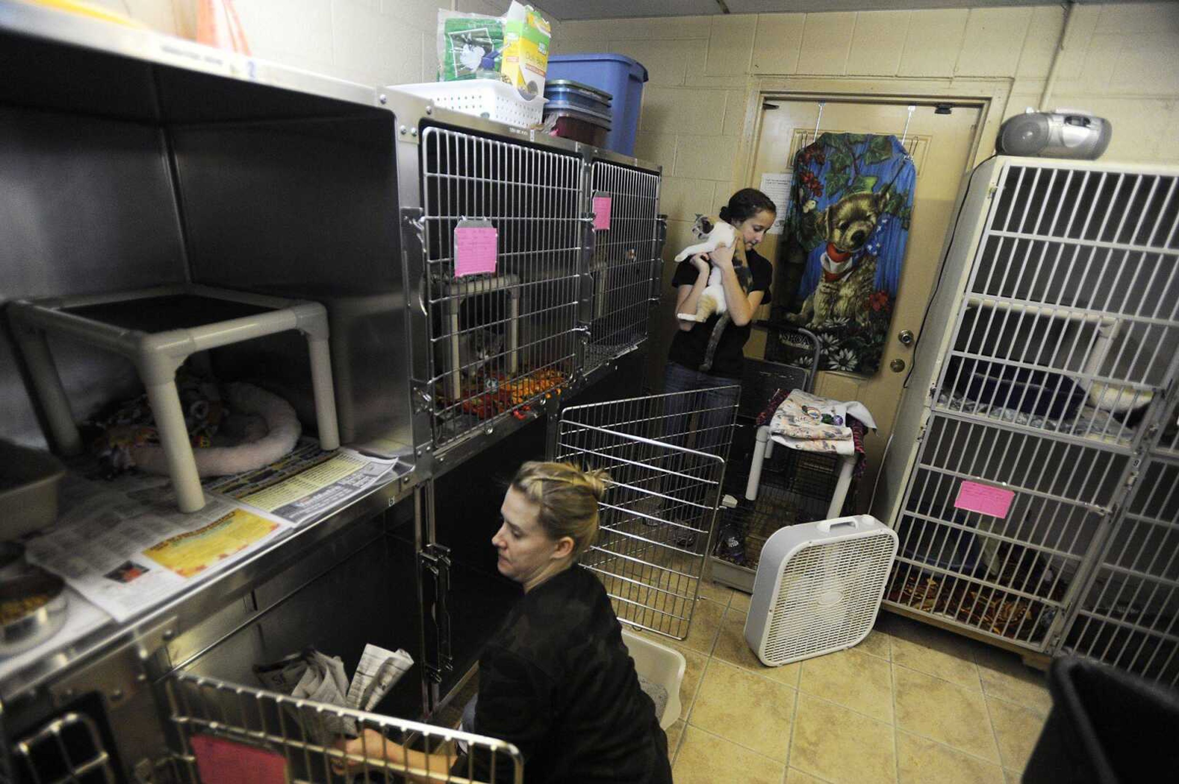 Volunteers Susan Krosunger, front, cleans out a cat's cage while Claire Herbst moves a cat back to its cage after cleaning it Tuesday, Dec. 25, at the Humane Society of Southeast Missouri in Cape Girardeau. (ADAM VOGLER)