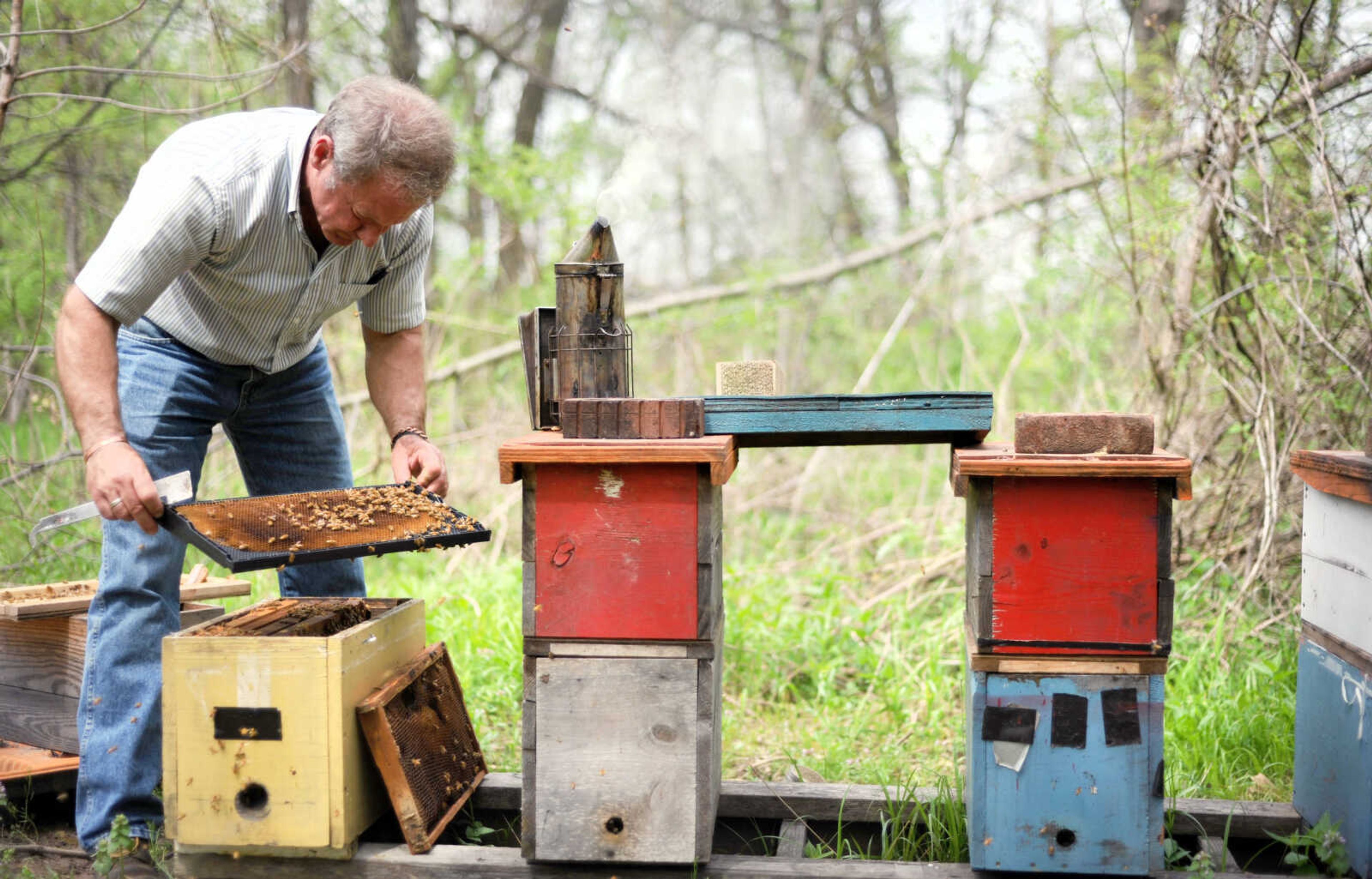 LAURA SIMON ~ lsimon@semissourian.com

Grant Gilliard checks on his beehives in Cape Girardeau County.