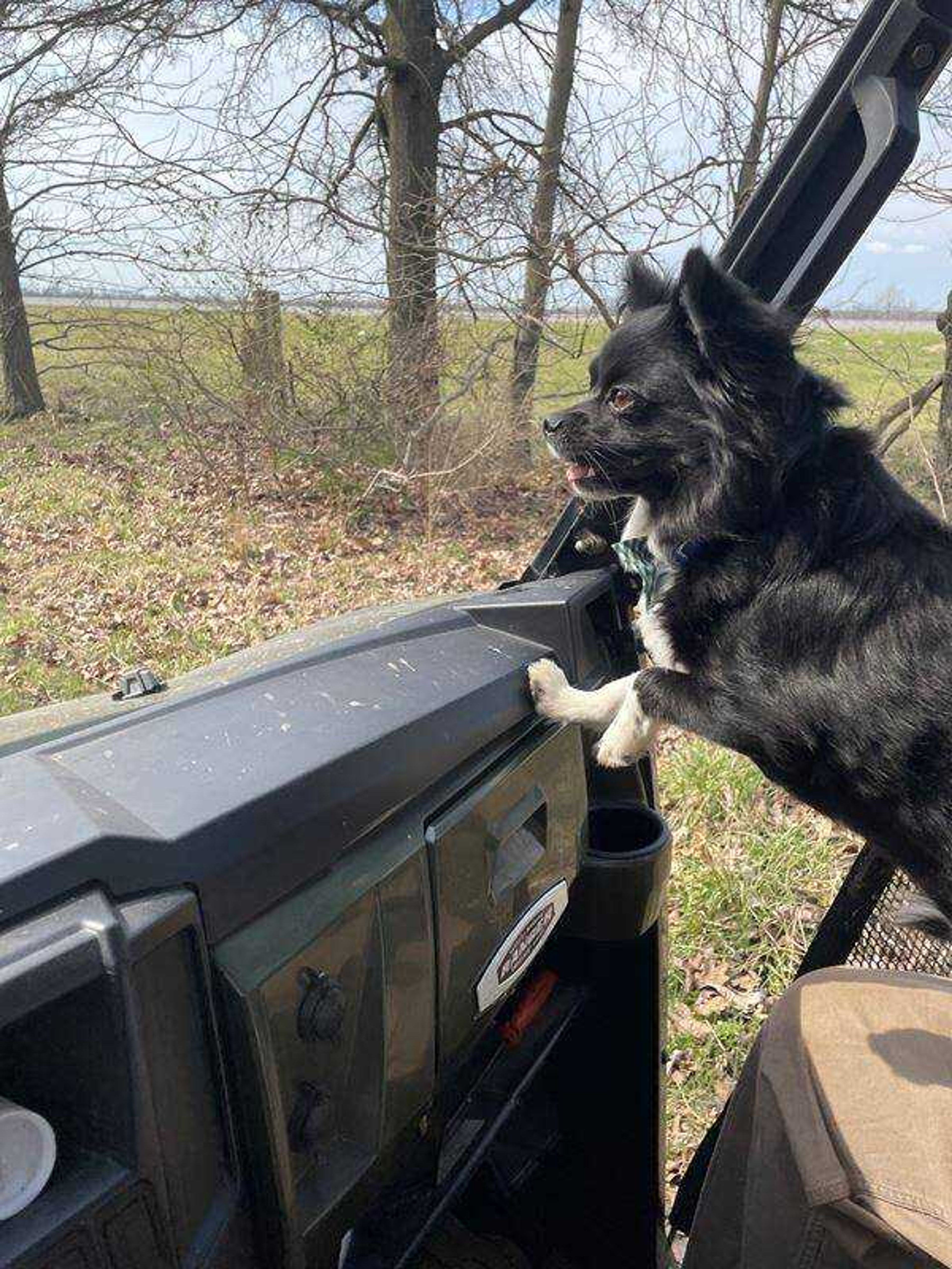 Tadar&nbsp; -&nbsp; Radar on the lookout loving his ride!