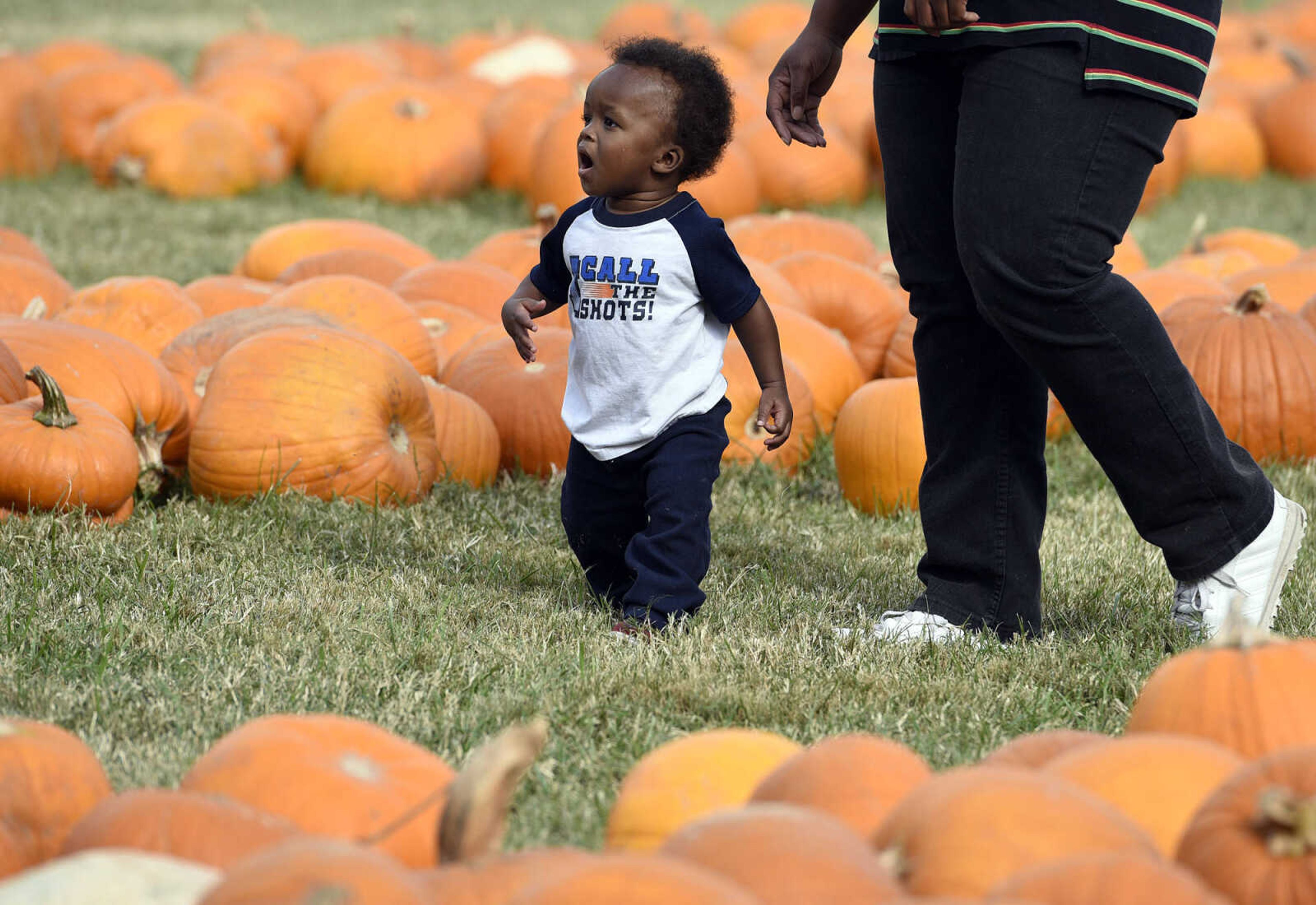 LAURA SIMON ~ lsimon@semissourian.com

Ja'Shone Bailey walks through the rows of pumpkins at the Grace United Methodist Church pumpkin patch on Wednesday, Oct. 12, 2016 in Cape Girardeau.