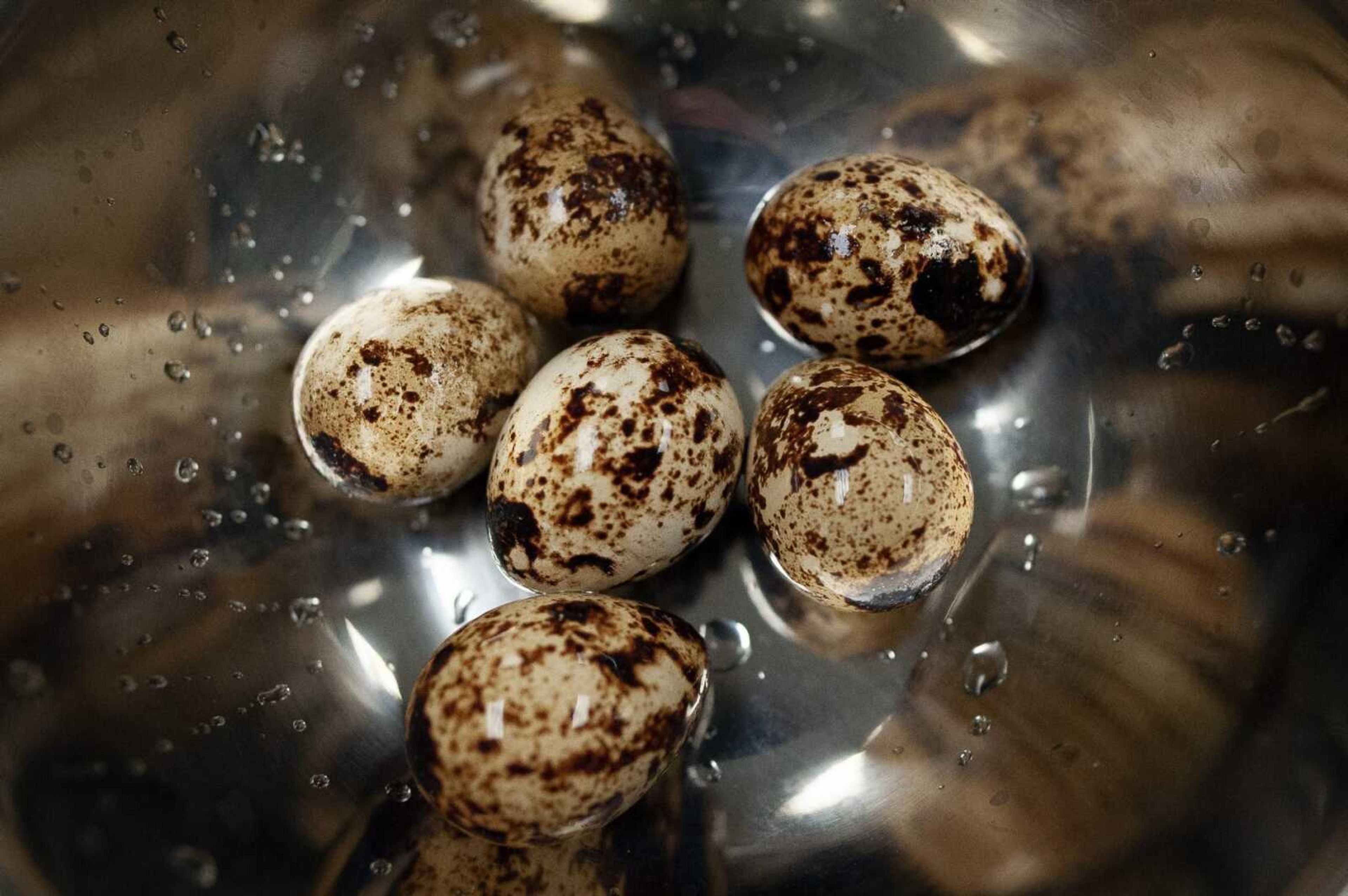 Quail eggs are seen in a class with Rachel Bentlage, a resource reading title teacher. Students in Bentlage's class had the opportunity to make toast with the quail eggs and avocado.