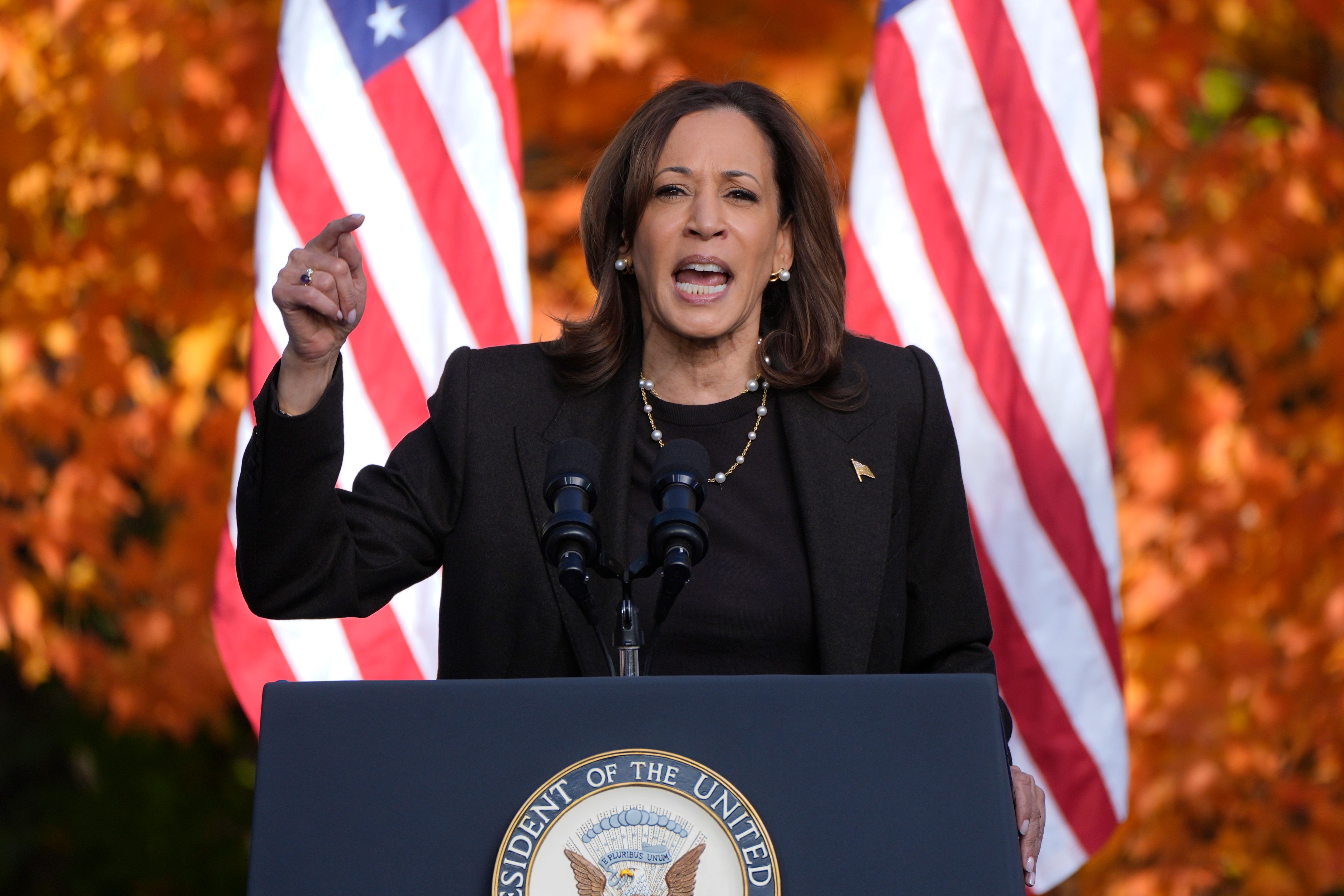 Democratic presidential nominee Vice President Kamala Harris speaks at a campaign rally in Riverside Park, Friday, Oct. 18, 2024, in Grand Rapids, Mich. (AP Photo/Paul Sancya)