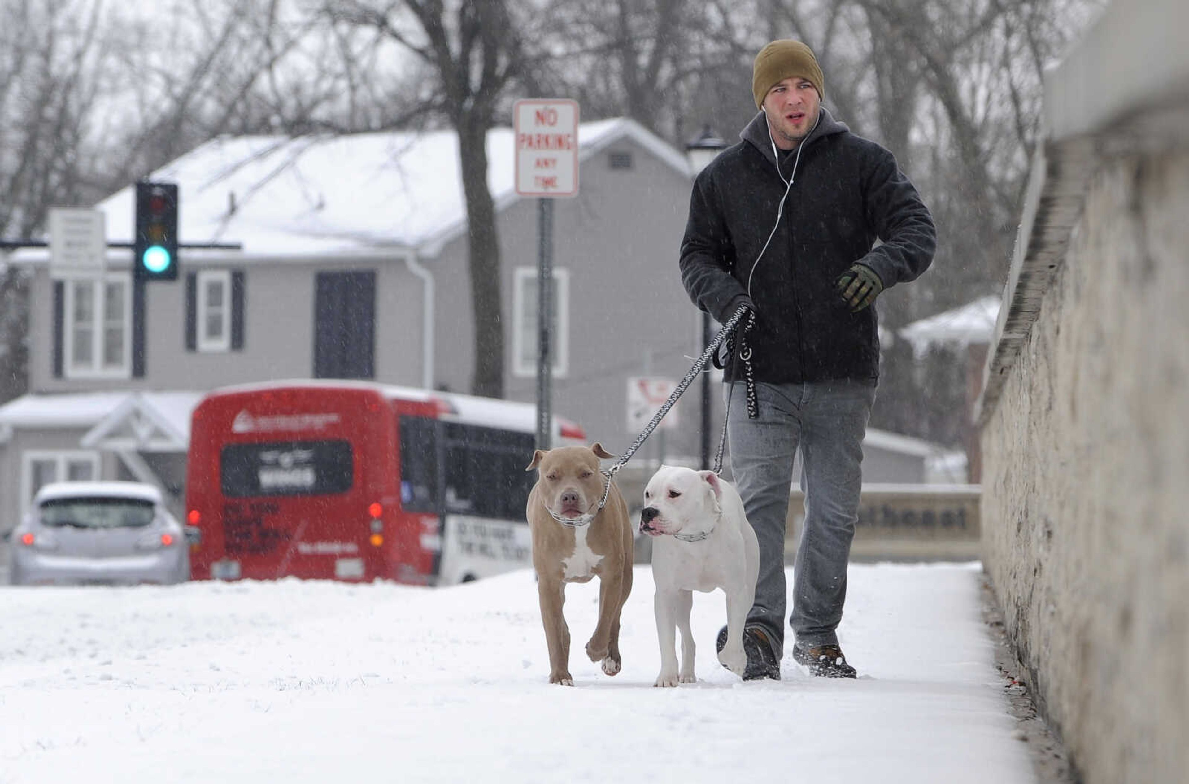 FRED LYNCH ~ flynch@semissourian.com
Jacob Fish and his pit bulls, Georgia and Ace, walk along Broadway Sunday morning, Feb. 14, 2016 in Cape Girardeau. "It's a great day for a walk," Fish said, on their way to the river.