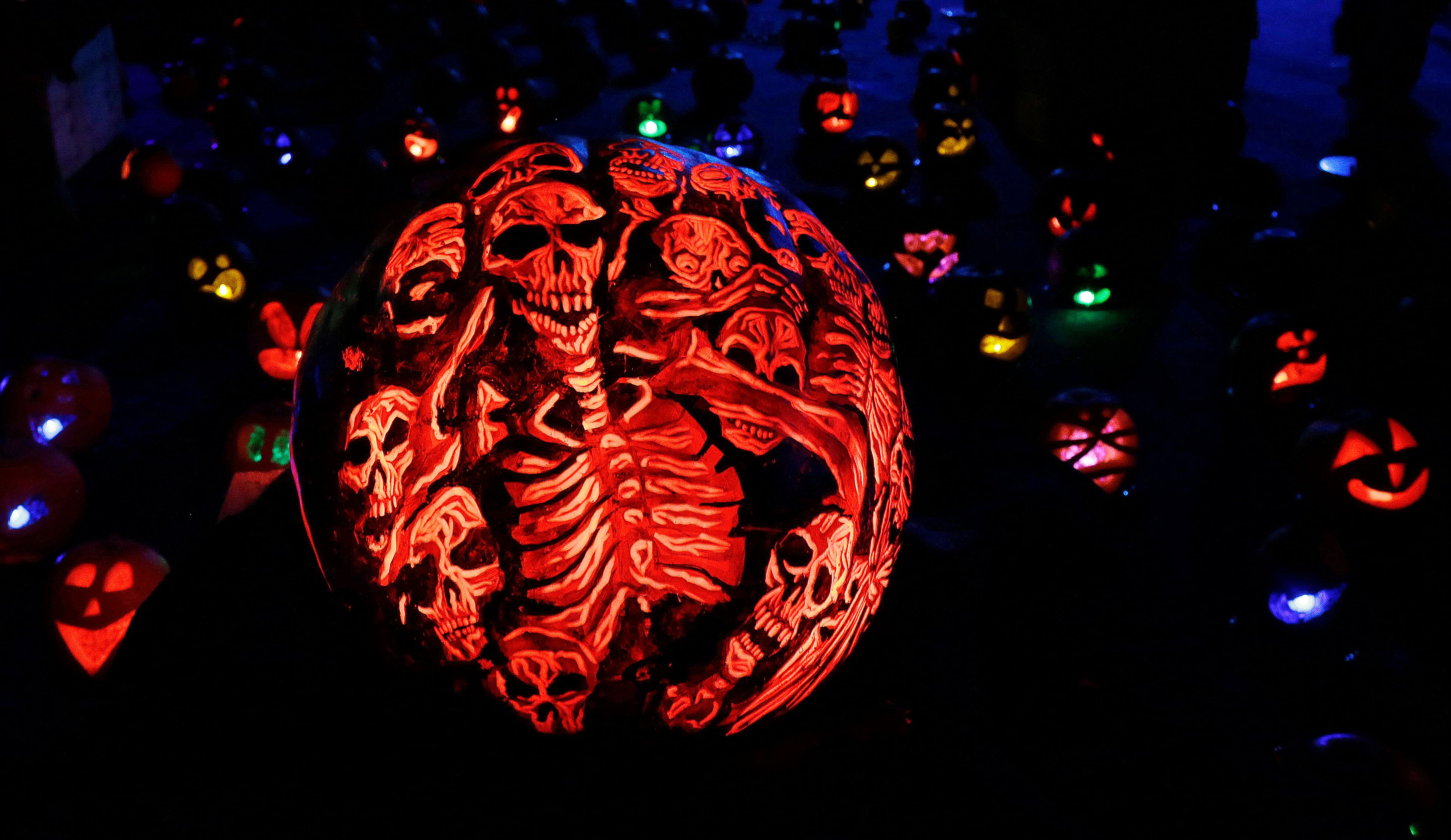 FILE - A pumpkin carved and painted with skeletons is displayed at the Rise of the Jack O'Lanterns Show, Thursday, Oct. 27, 2016, in Boston. (AP Photo/Elise Amendola, File)