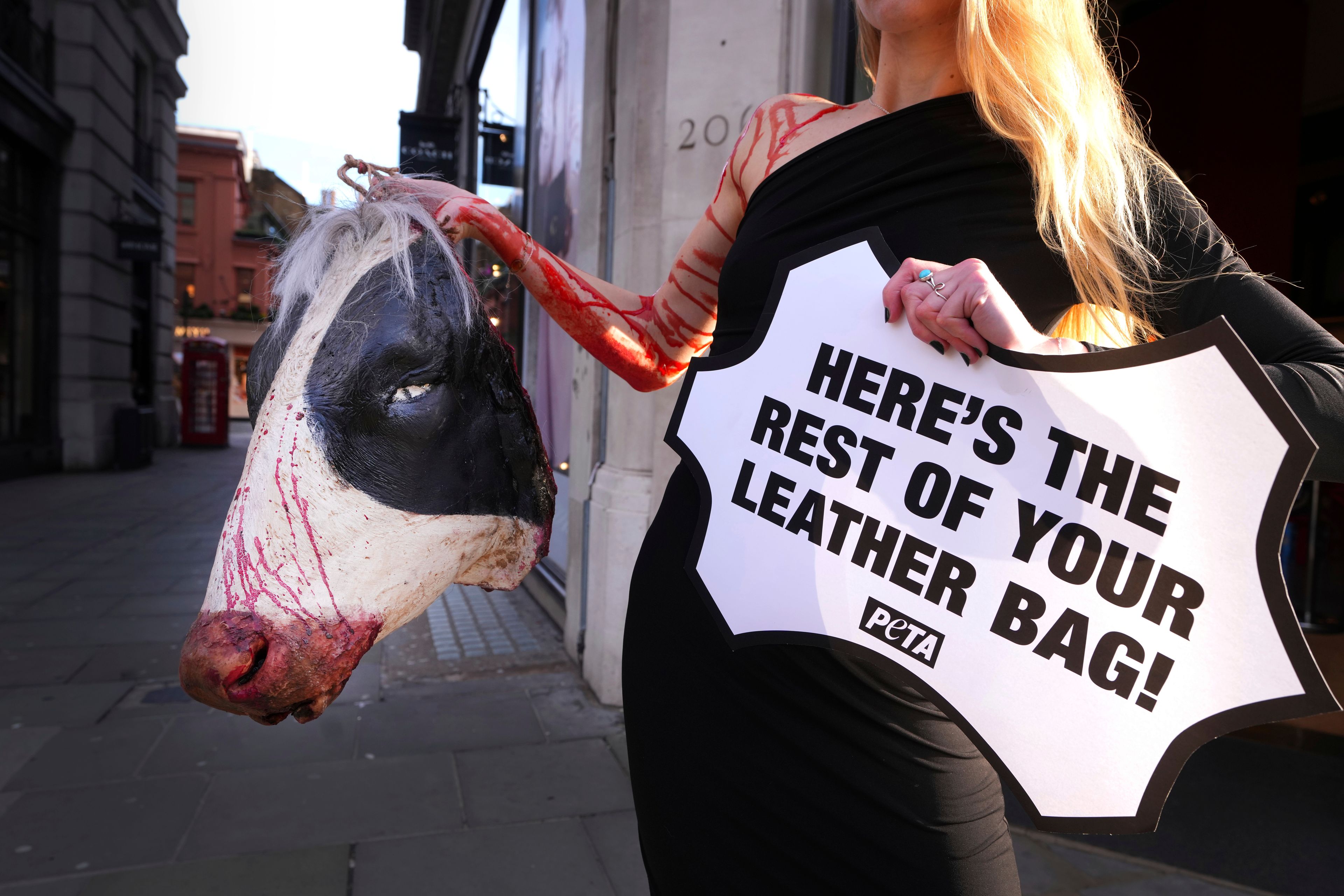 A PETA (People for the Ethical Treatment of Animals) supporter displays a realistic 'bleeding' severed cow's head whilst holding a sign proclaiming, "Here's The Rest Of Your Leather Bag!" outside the Coach store on Regent Street in London, Thursday, Nov. 28, 2024. (AP Photo/Kirsty Wigglesworth)