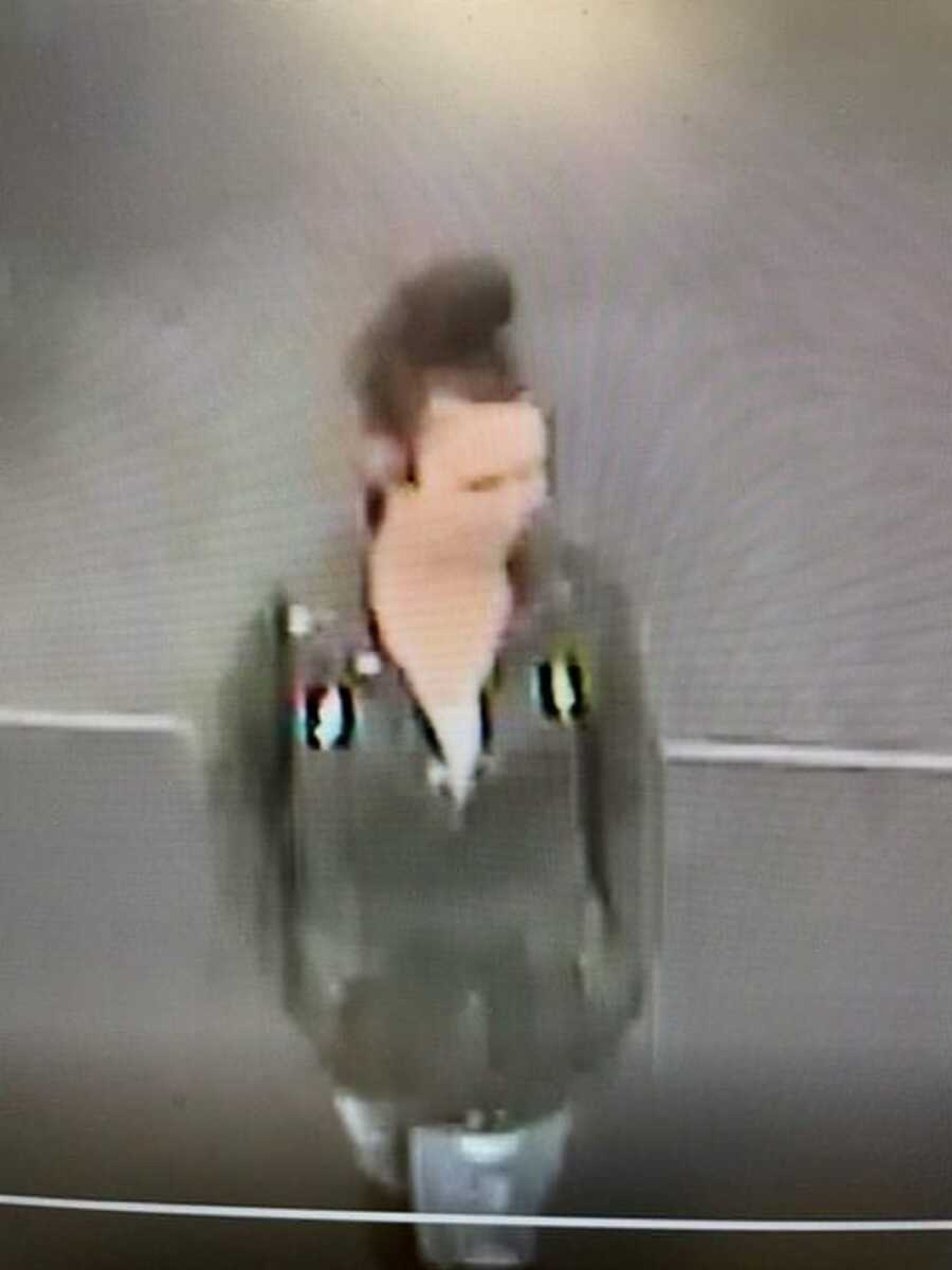 This person is wanted in connection with alleged credit card thefts in the area.