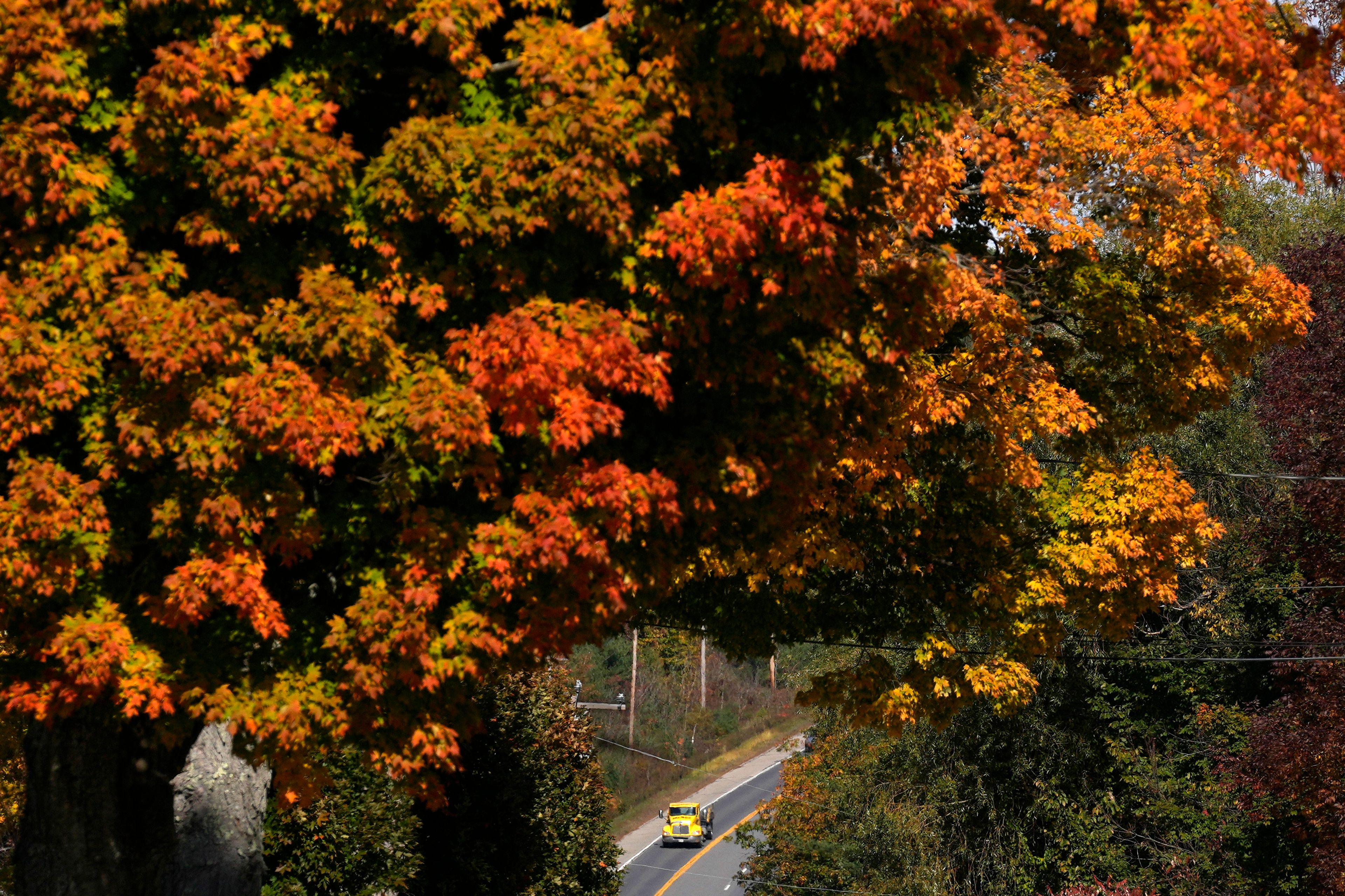 PHOTO COLLECTION: Fall Foliage