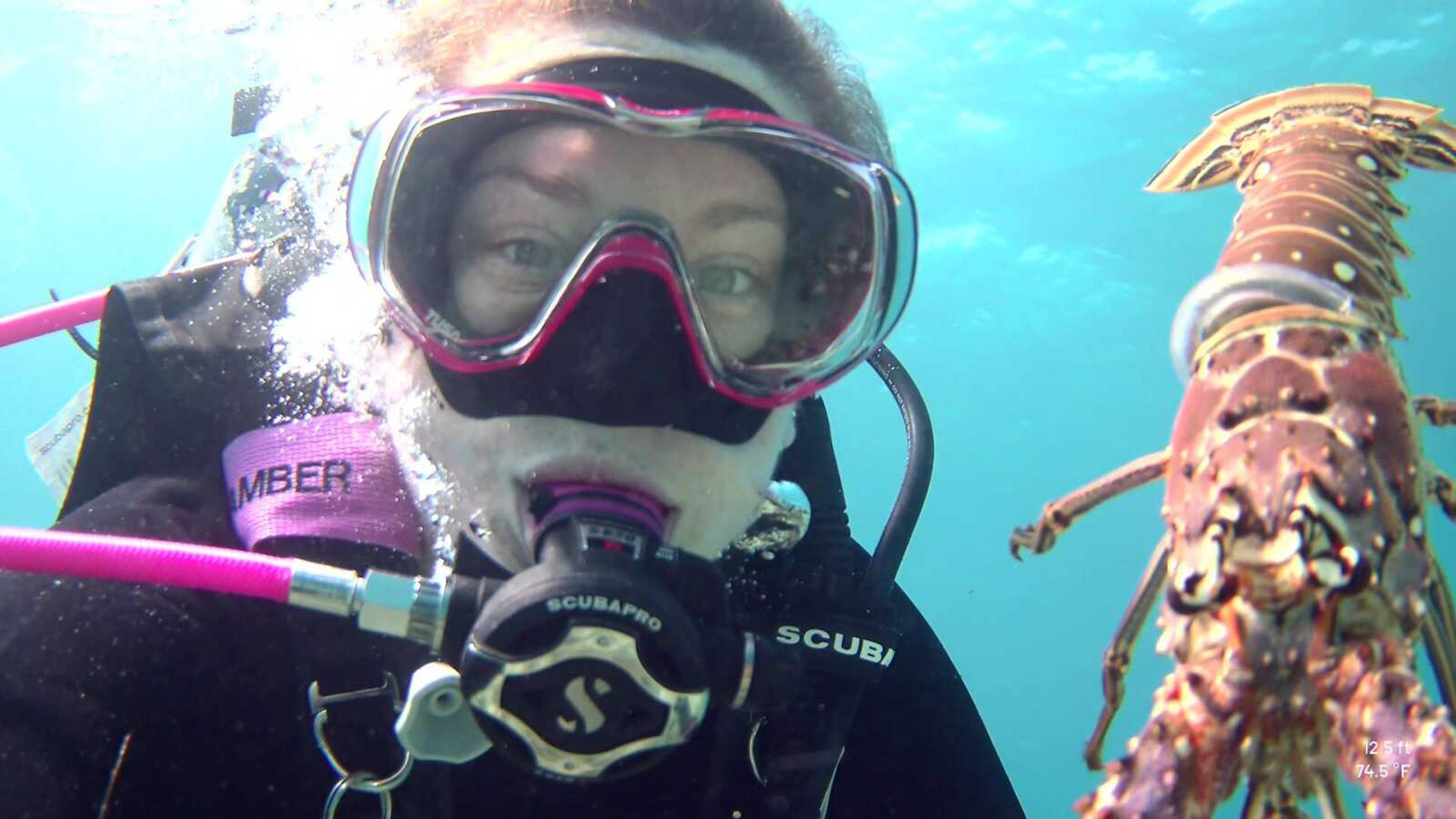  Amber Kimbrell holds up a lobster while underwater. When hunting, the Kimbrells typically dive 10 to 25 feet below the surface.  