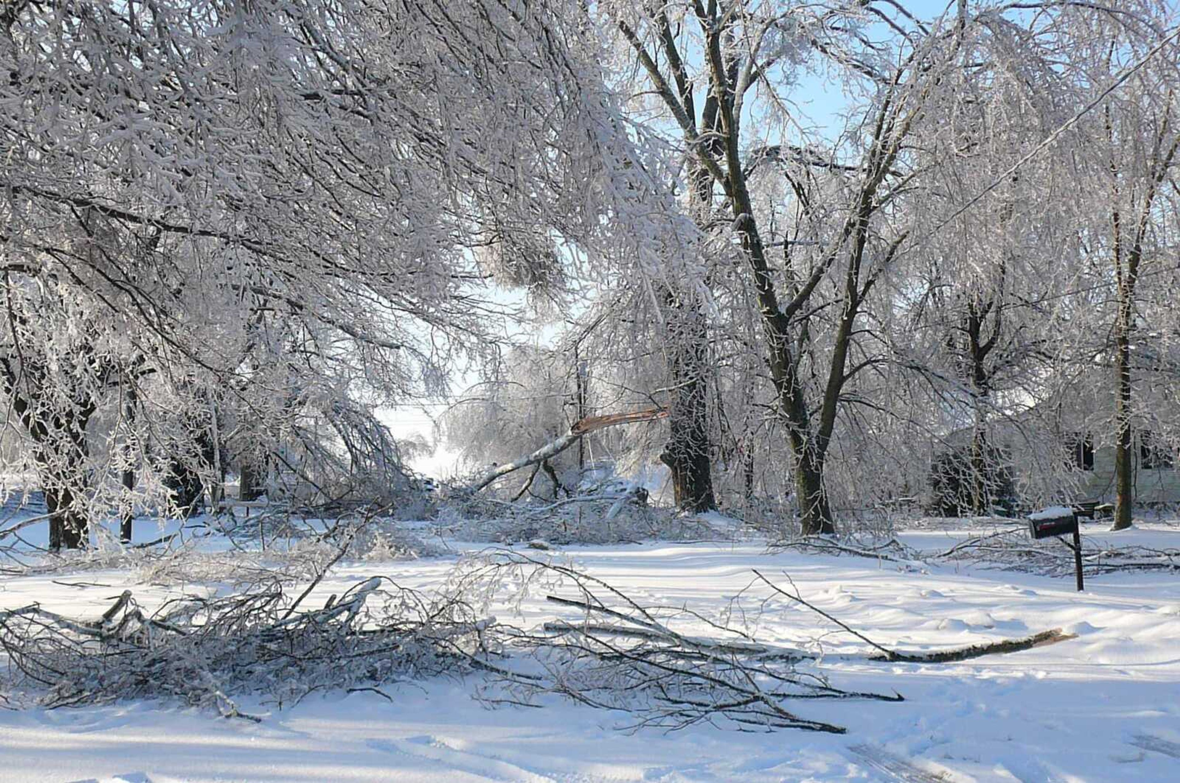 GERA LeGRAND ~ glegrand@semissourian.com
Trees blocked Highway 61 in Benton, Mo.