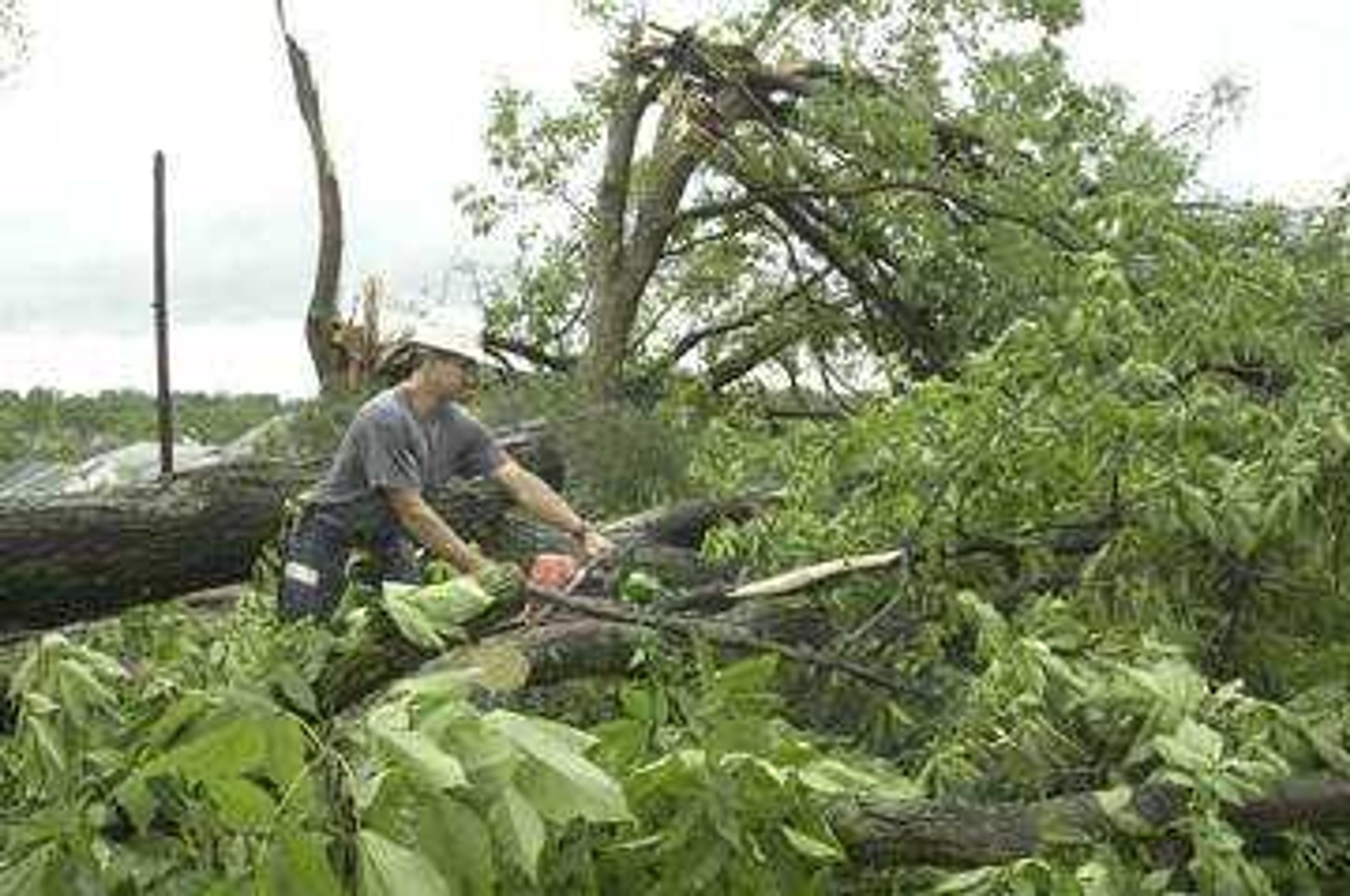 Floyd Masters, a volunteer from Perryville, helped cut away fallen trees along Woodland Drive in Jackson after Tuesday's tornado.