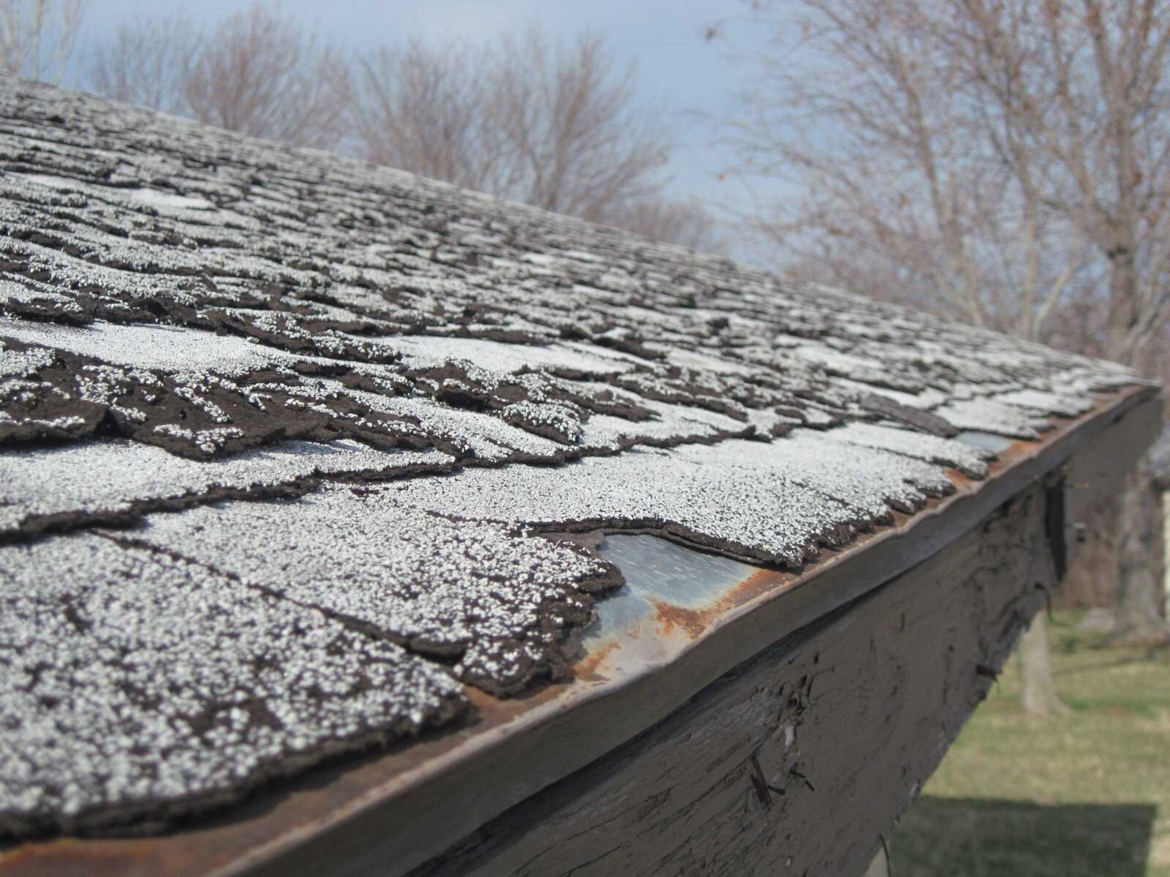 The roof of shelter No. 3 at Cape County Park North shows signs of decay in this photo taken Thursday, March 3, 2011. (Carrie Bartholomew)