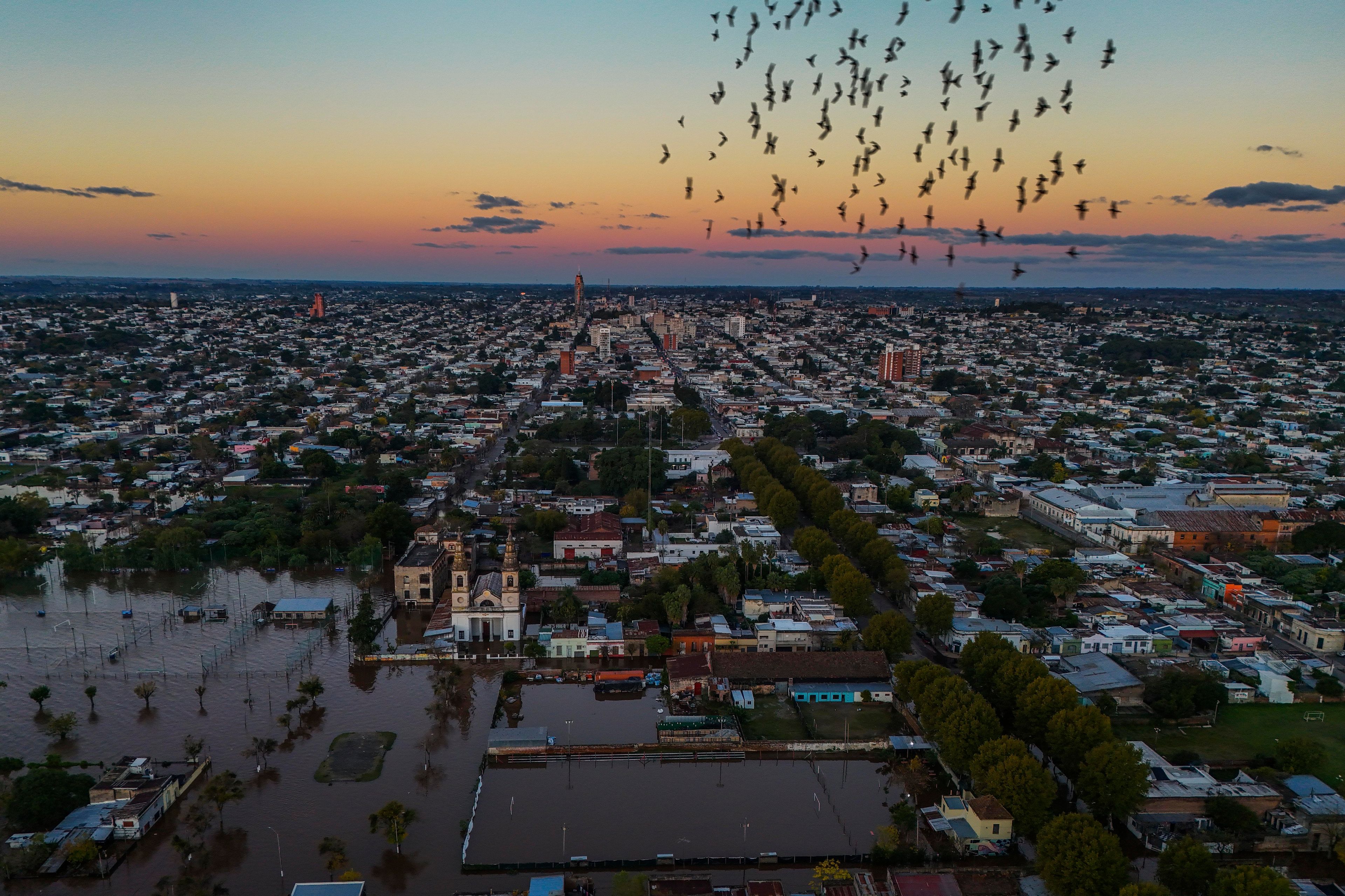 FILE - Birds fly by a flooded area in Paysandu, Uruguay, May 13, 2024. (AP Photo/Matilde Campodonico, File)