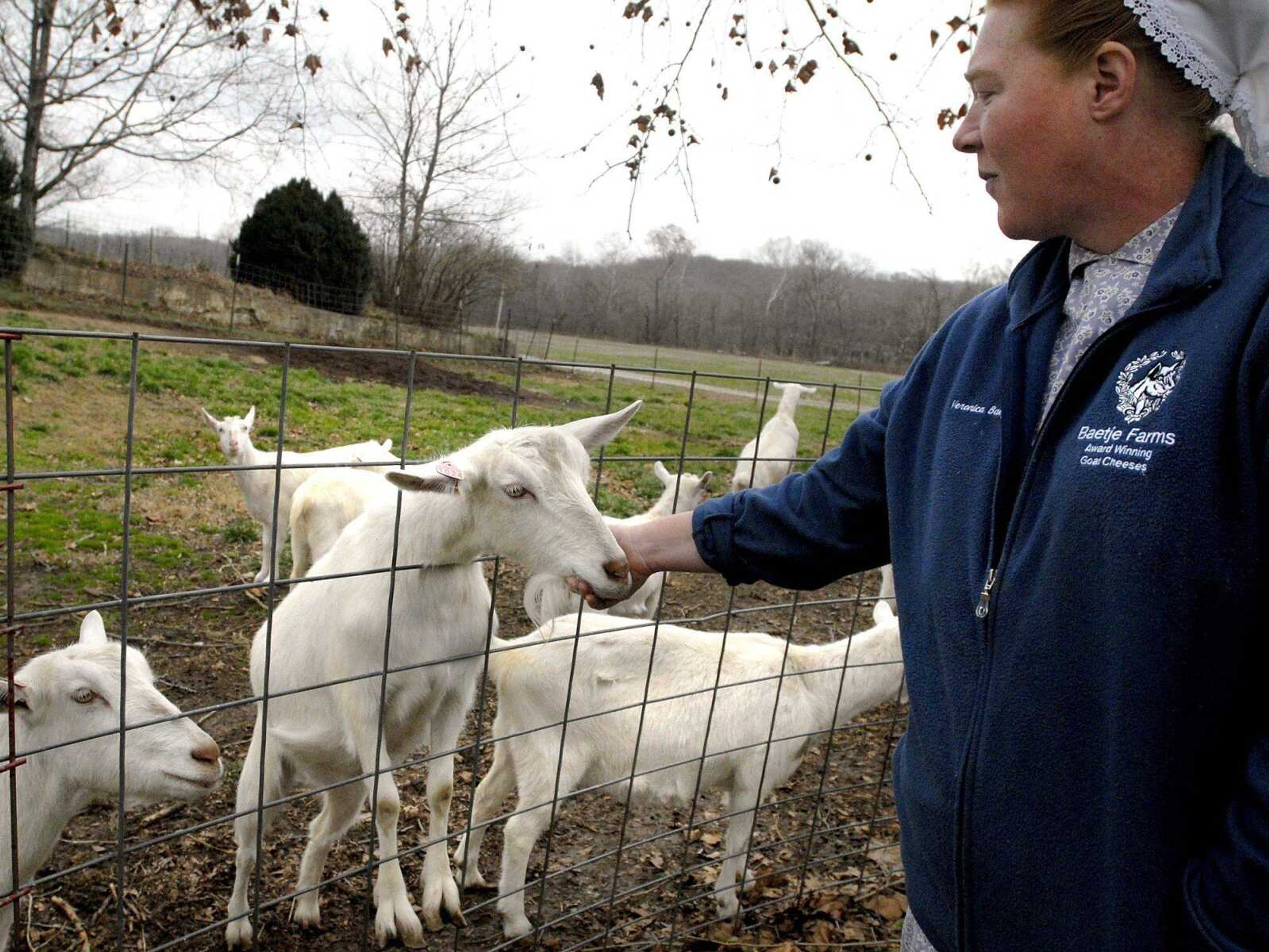 Veronica Baetje visits with some of her Saanen goats Wednesday at Baetje Farms in Bloomsdale, Mo. (Laura Simon)