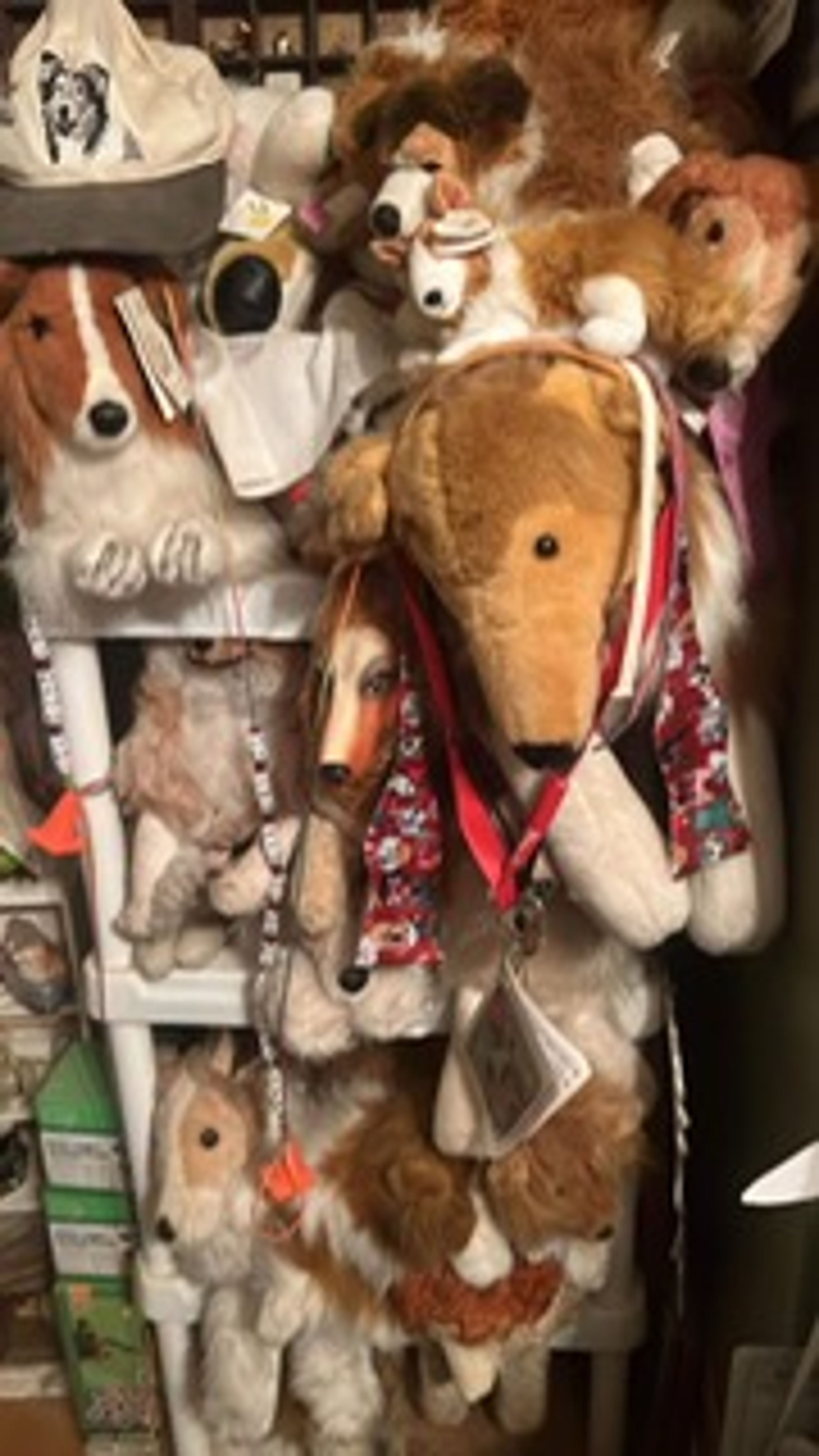 Mary Stucker has been collecting Lassie items since she was a child